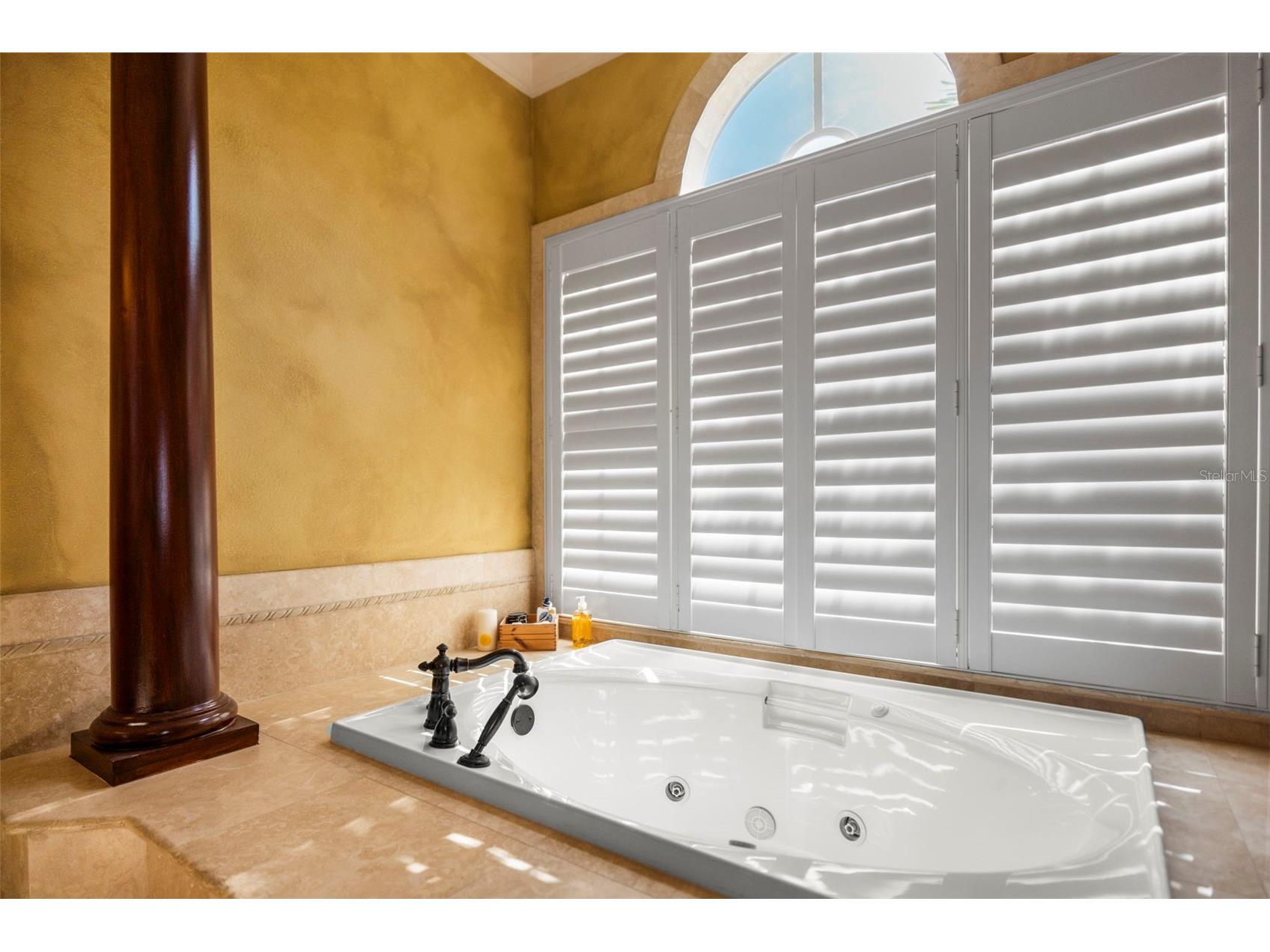 4165 Moreno Drive Palm Harbor FL 34685 TB8460043 image49