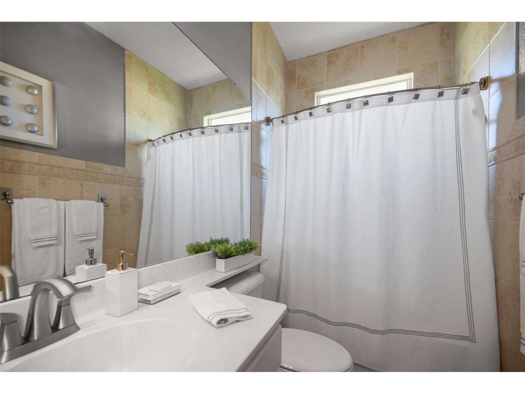 4165 Moreno Drive Palm Harbor FL 34685 TB8460043 image51