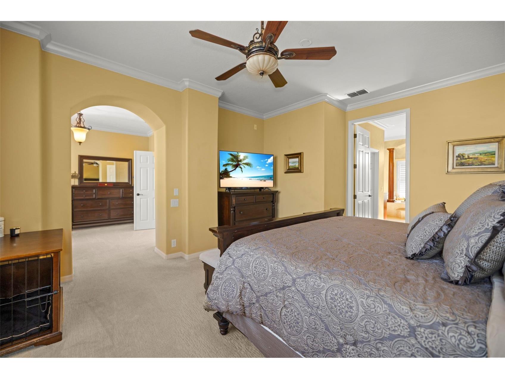 4165 Moreno Drive Palm Harbor FL 34685 TB8460043 image52