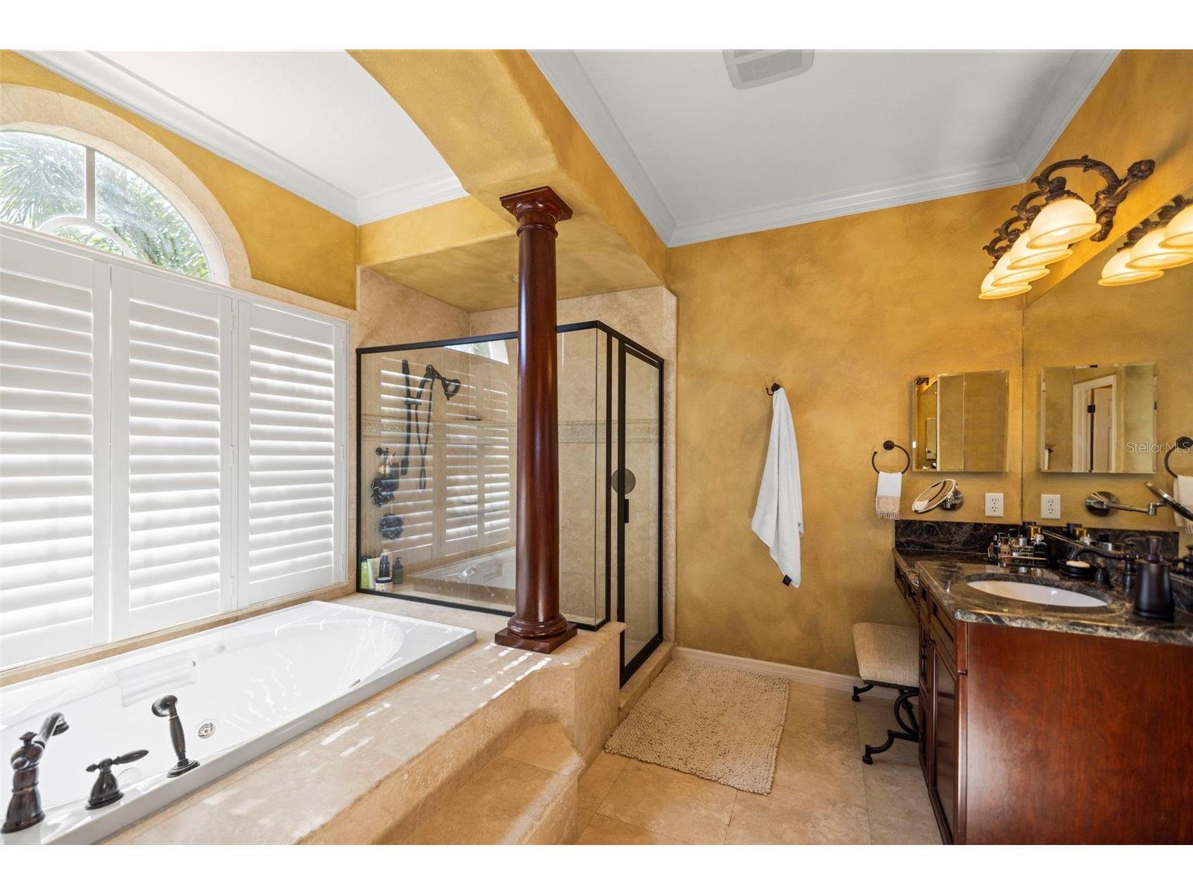 4165 Moreno Drive Palm Harbor FL 34685 TB8460043 image53