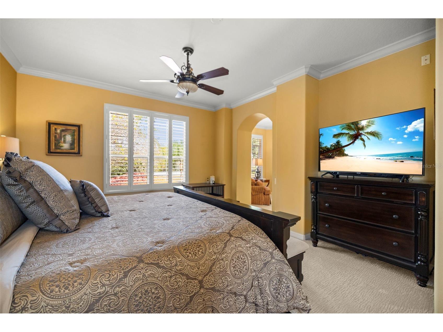 4165 Moreno Drive Palm Harbor FL 34685 TB8460043 image54