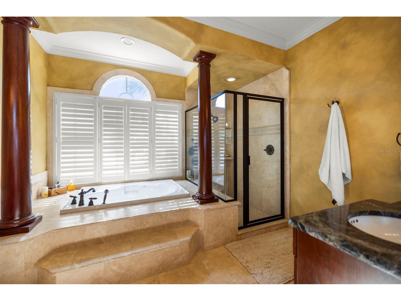 4165 Moreno Drive Palm Harbor FL 34685 TB8460043 image55