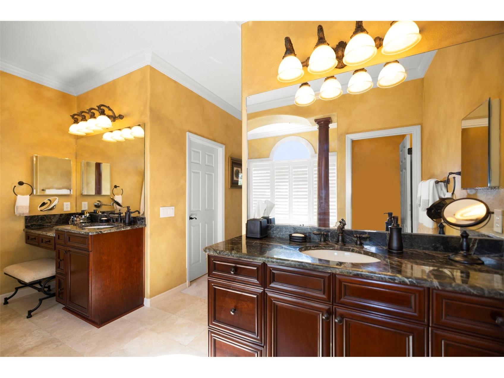 4165 Moreno Drive Palm Harbor FL 34685 TB8460043 image56