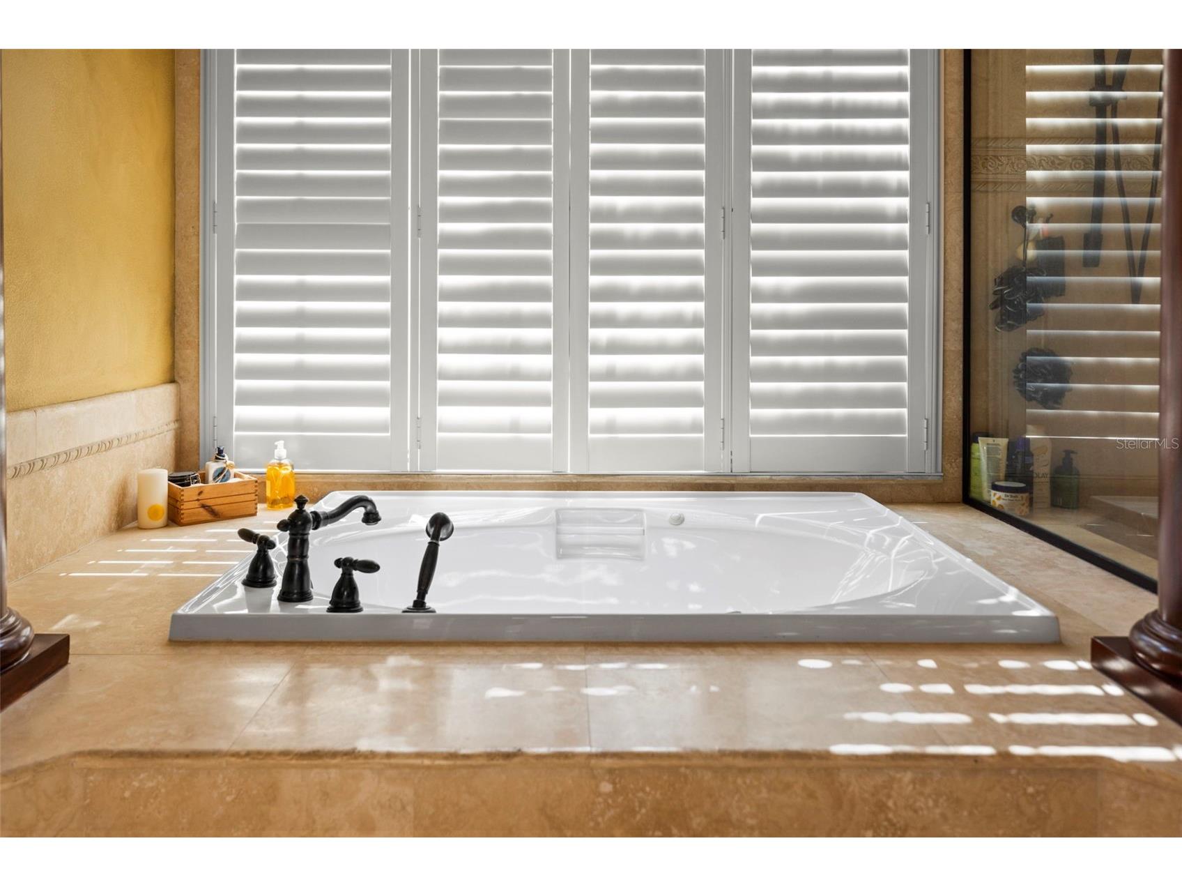 4165 Moreno Drive Palm Harbor FL 34685 TB8460043 image57