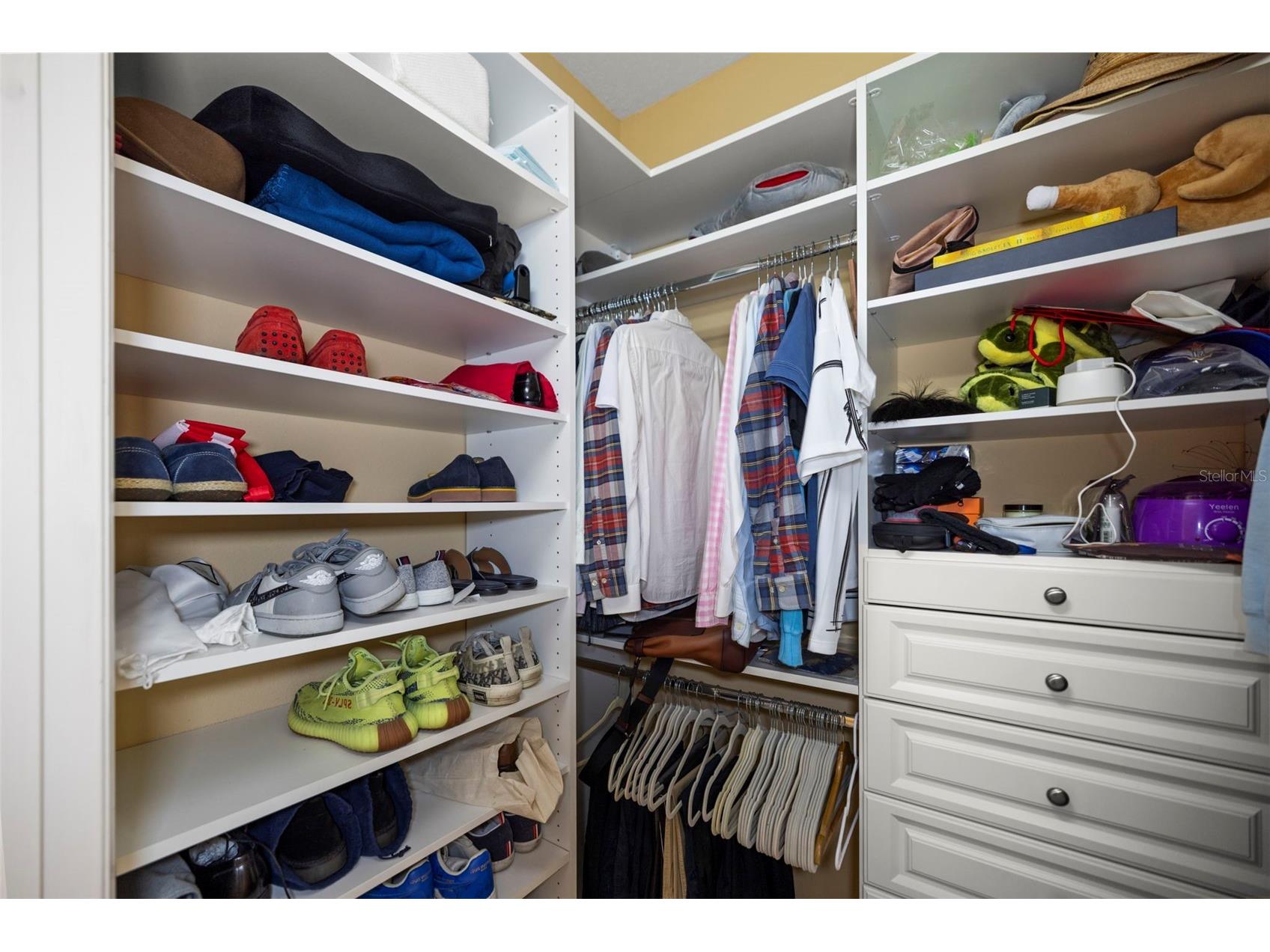 4165 Moreno Drive Palm Harbor FL 34685 TB8460043 image58