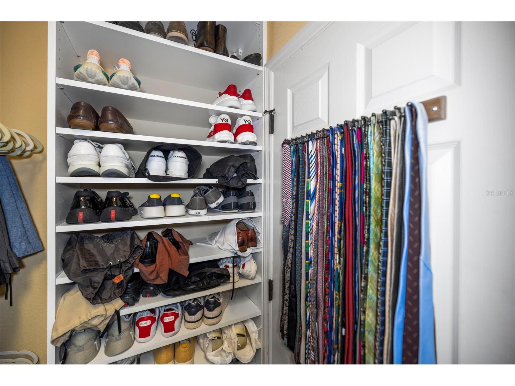 4165 Moreno Drive Palm Harbor FL 34685 TB8460043 image59