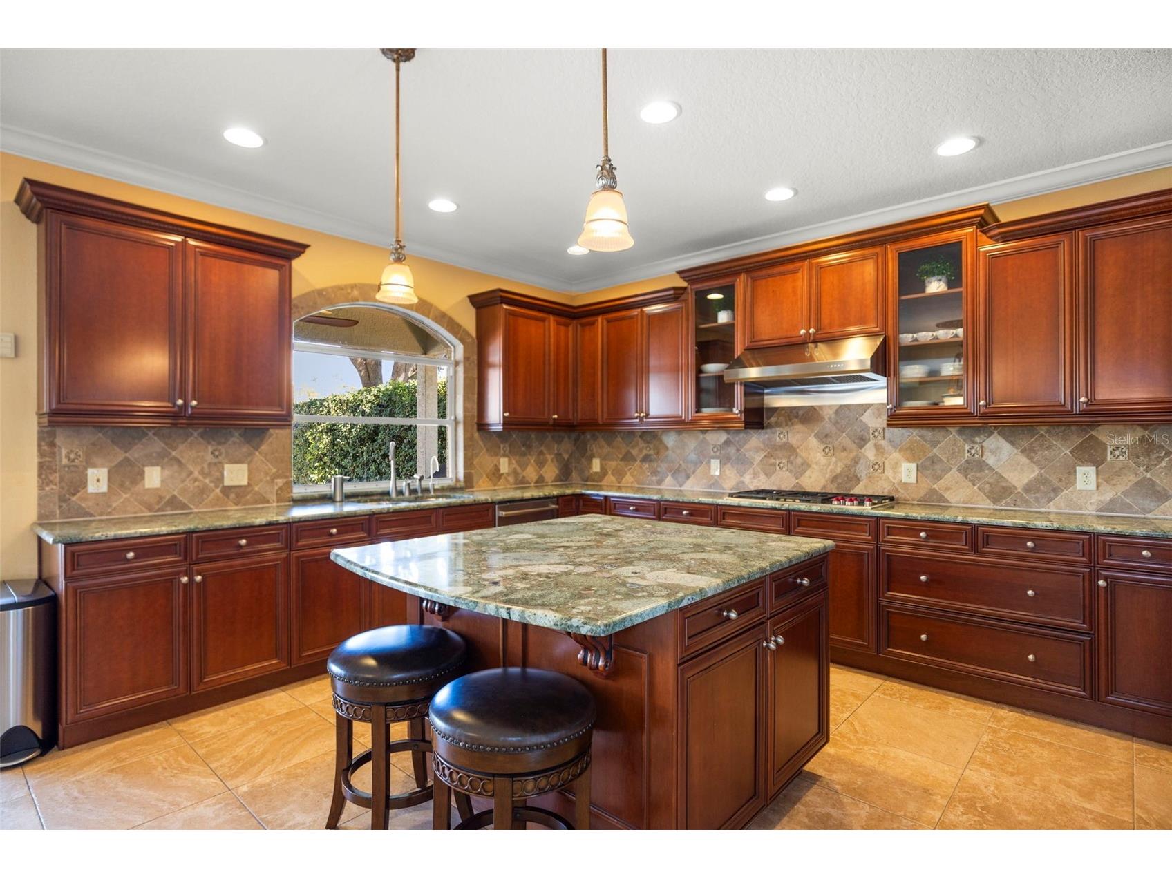 4165 Moreno Drive Palm Harbor FL 34685 TB8460043 image6