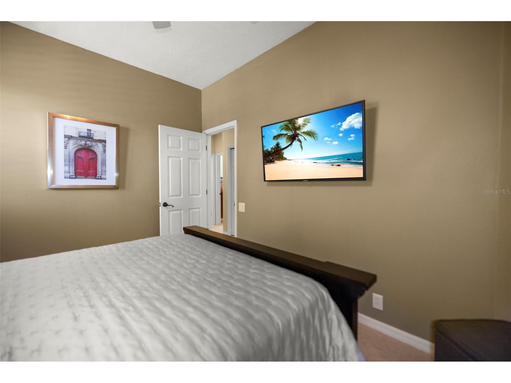 4165 Moreno Drive Palm Harbor FL 34685 TB8460043 image66