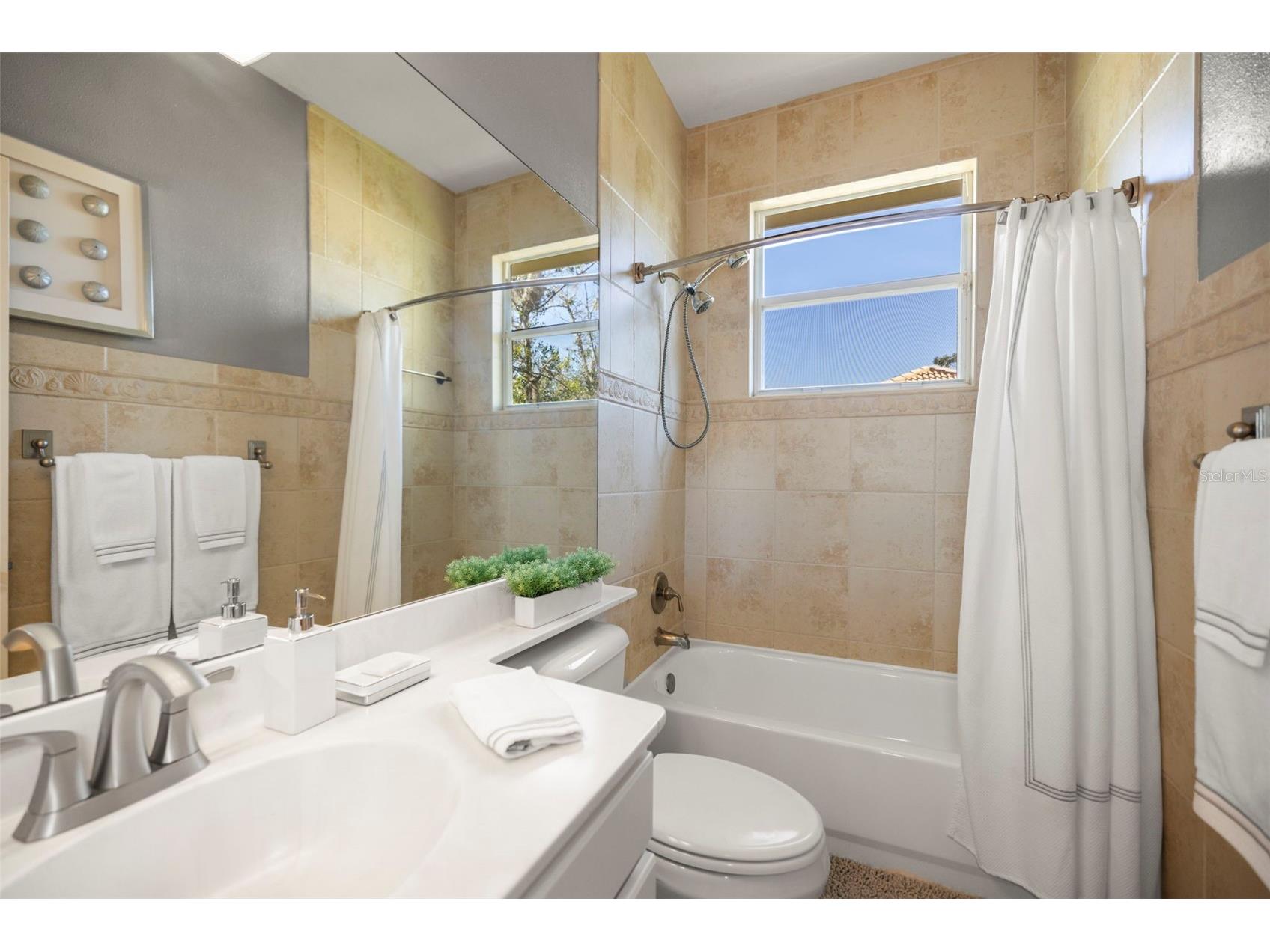 4165 Moreno Drive Palm Harbor FL 34685 TB8460043 image67