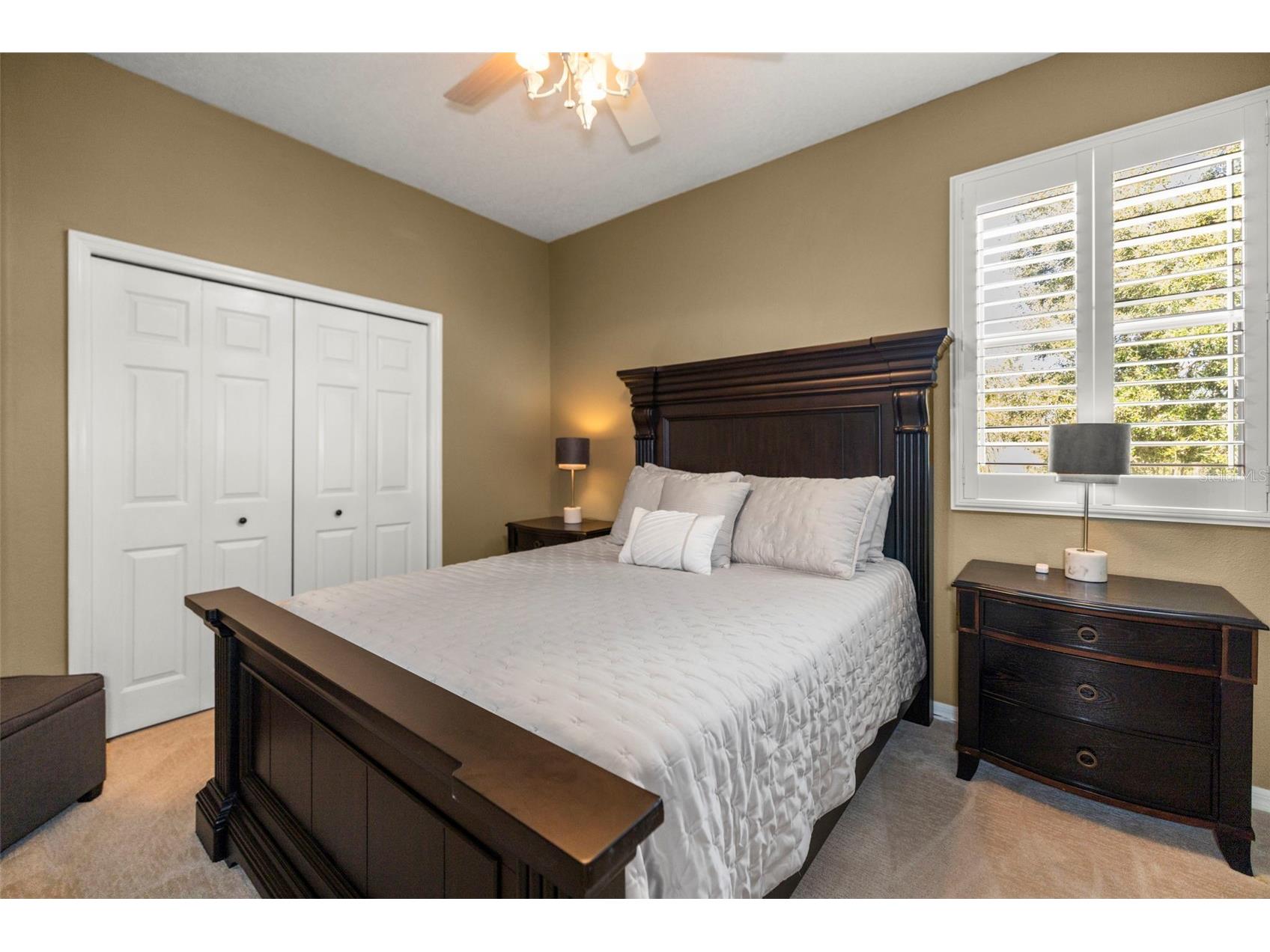 4165 Moreno Drive Palm Harbor FL 34685 TB8460043 image68