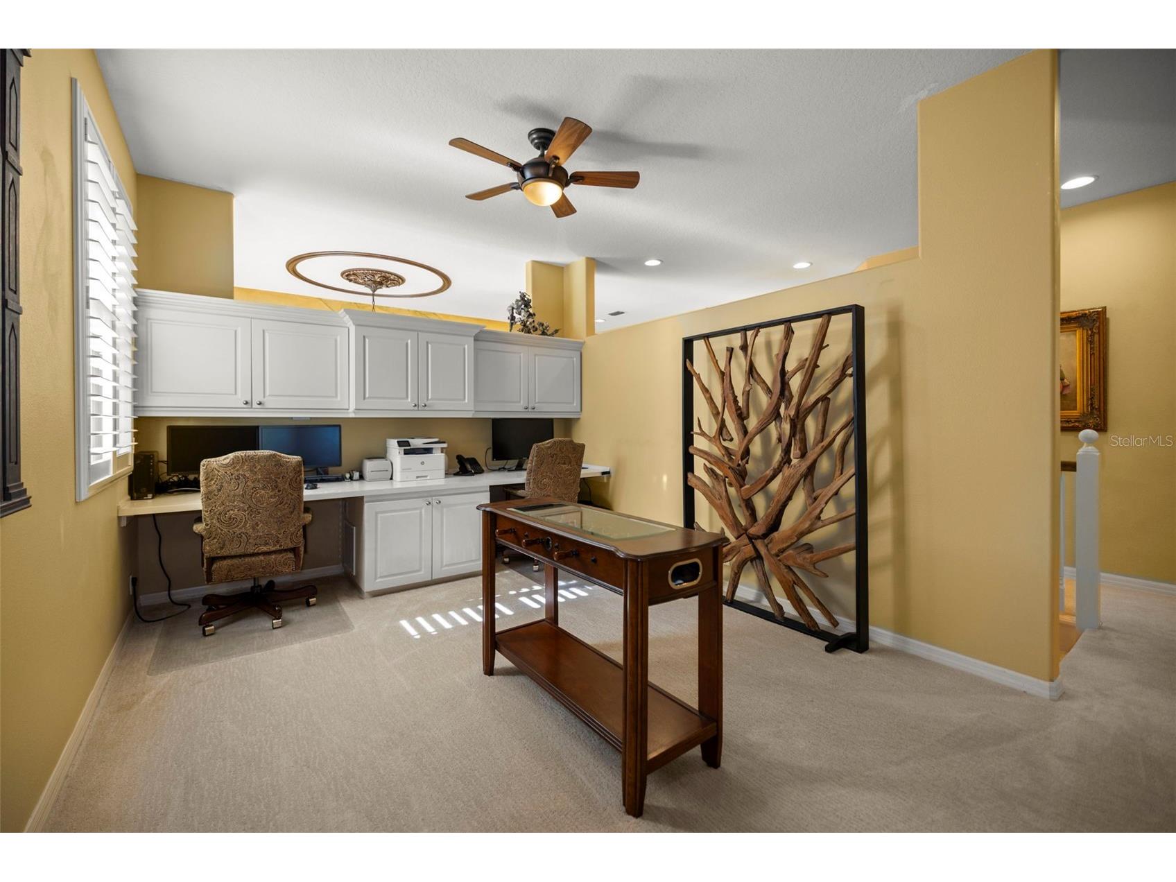 4165 Moreno Drive Palm Harbor FL 34685 TB8460043 image69