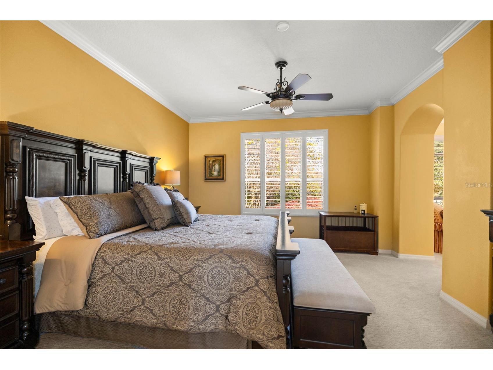 4165 Moreno Drive Palm Harbor FL 34685 TB8460043 image71