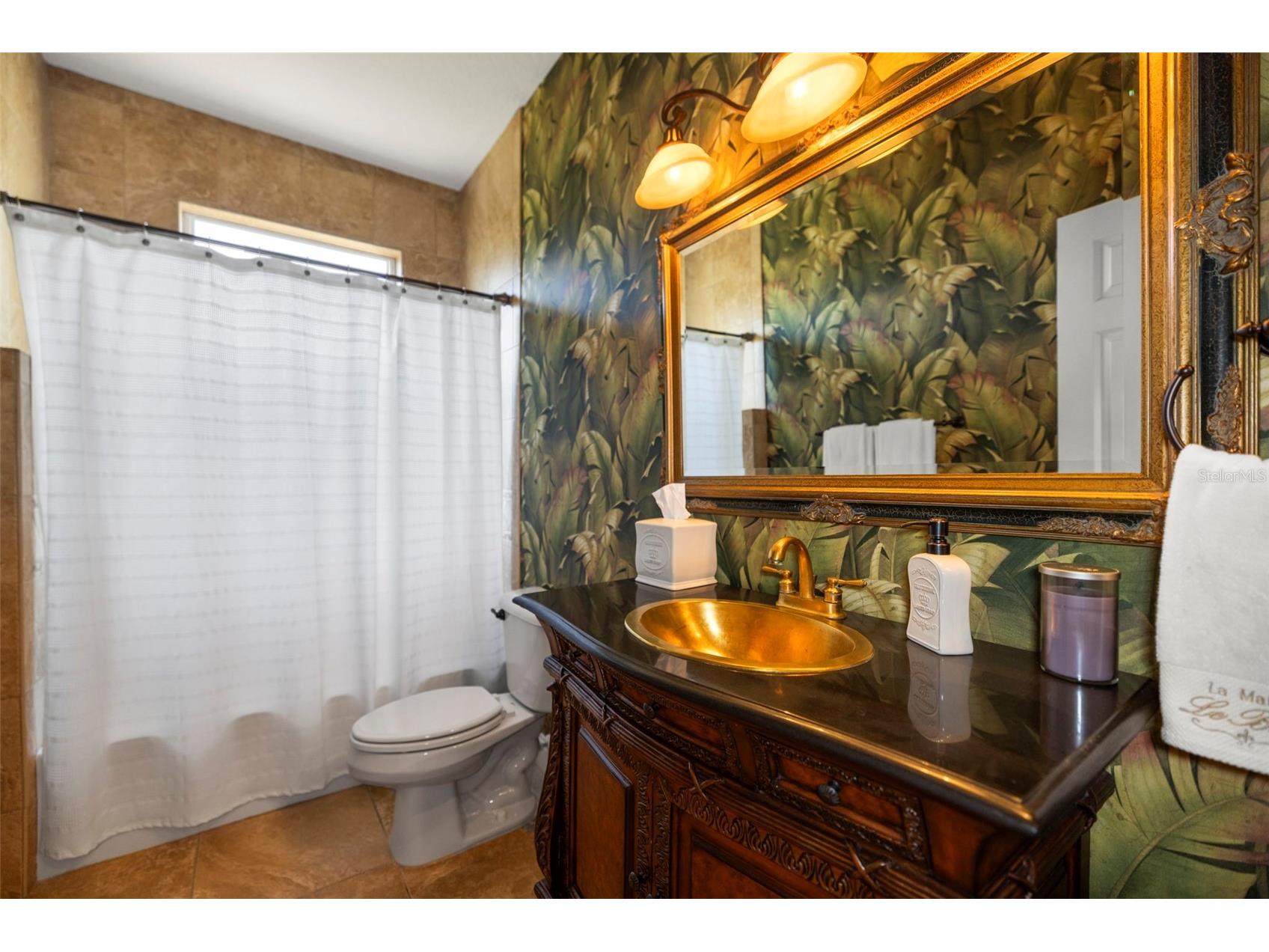 4165 Moreno Drive Palm Harbor FL 34685 TB8460043 image73