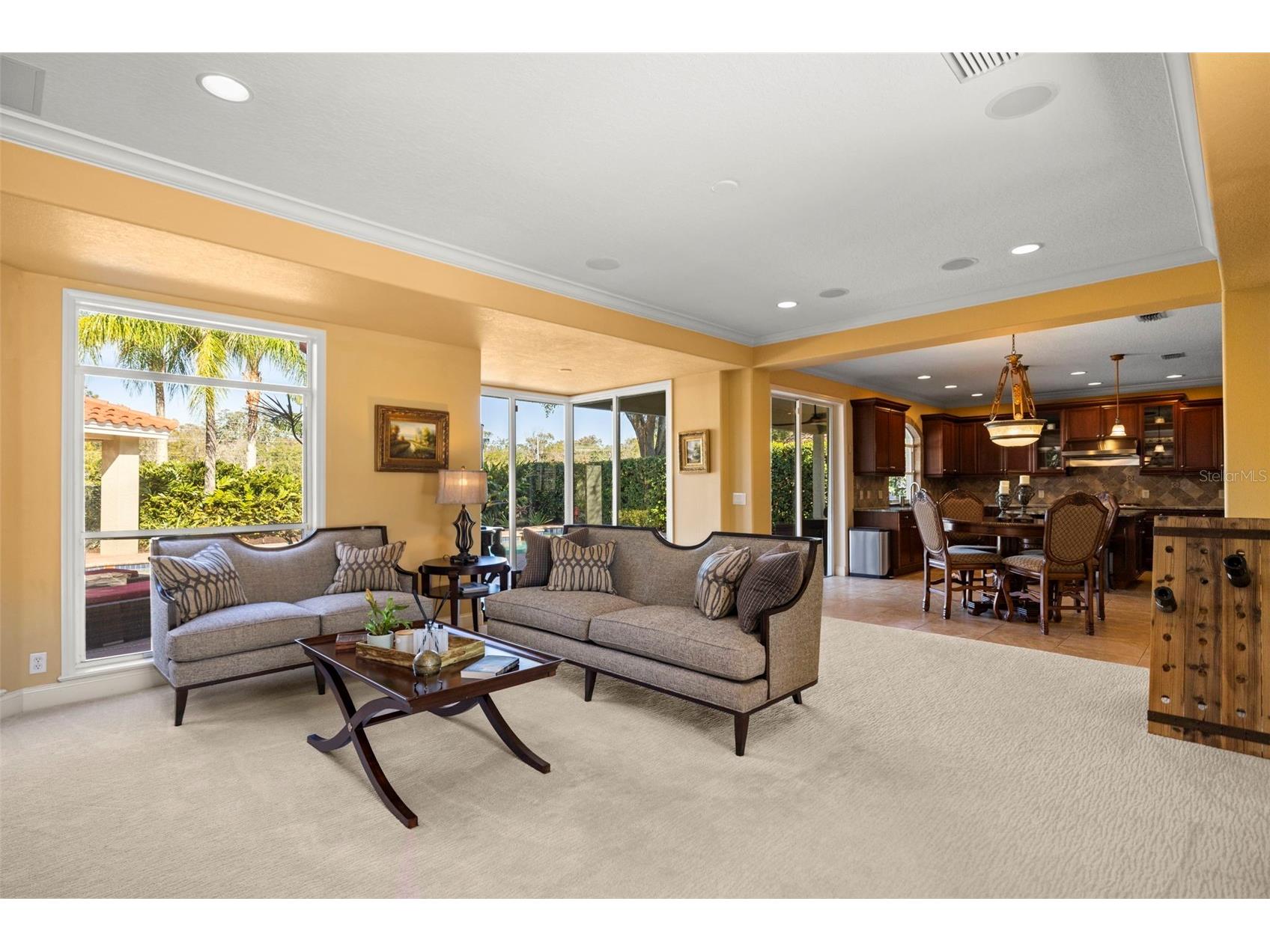 4165 Moreno Drive Palm Harbor FL 34685 TB8460043 image8