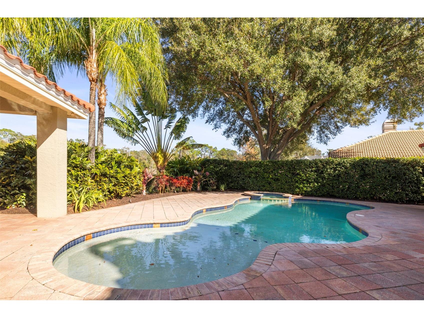 4165 Moreno Drive Palm Harbor FL 34685 TB8460043 image80