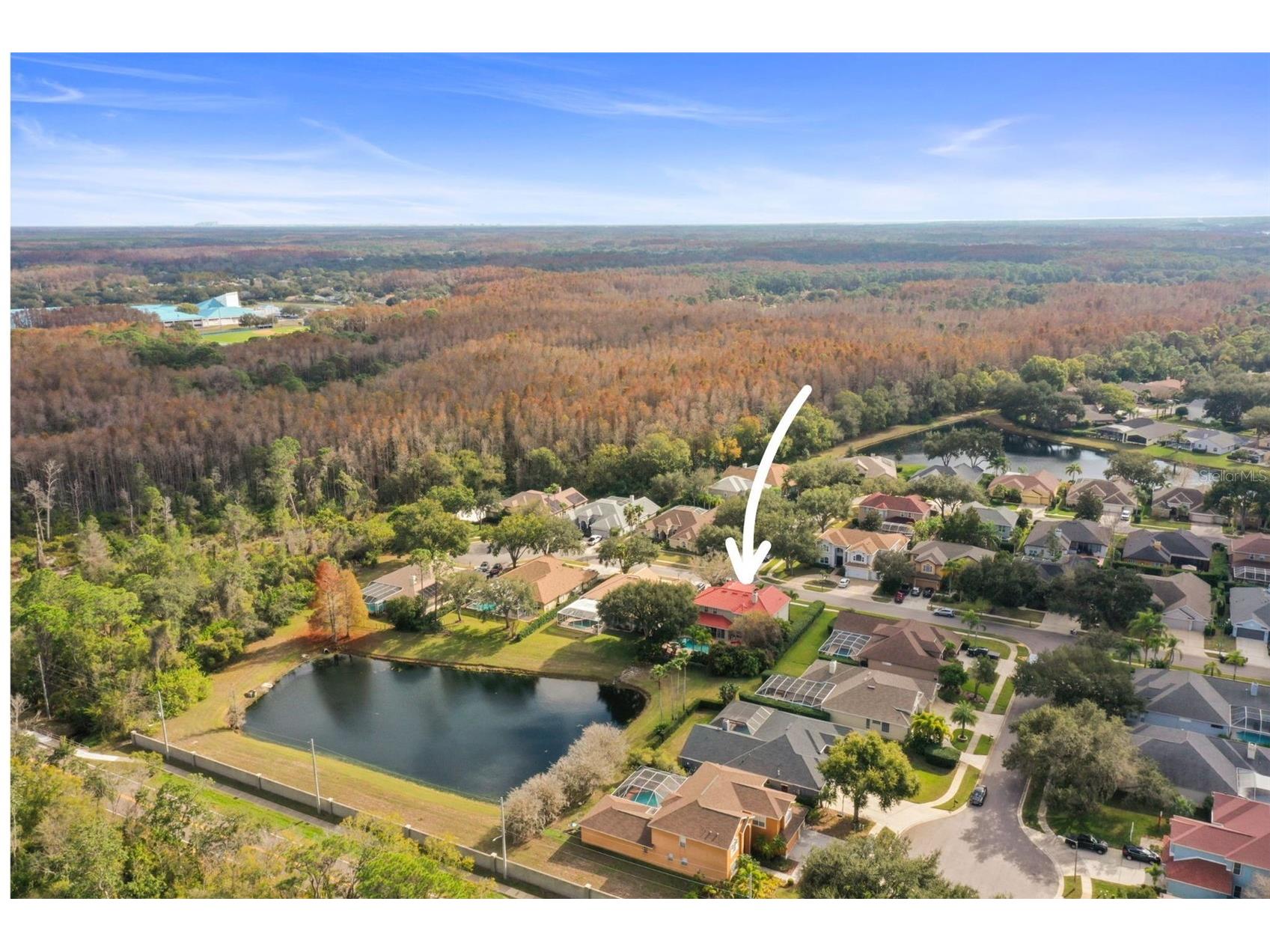 4165 Moreno Drive Palm Harbor FL 34685 TB8460043 image81