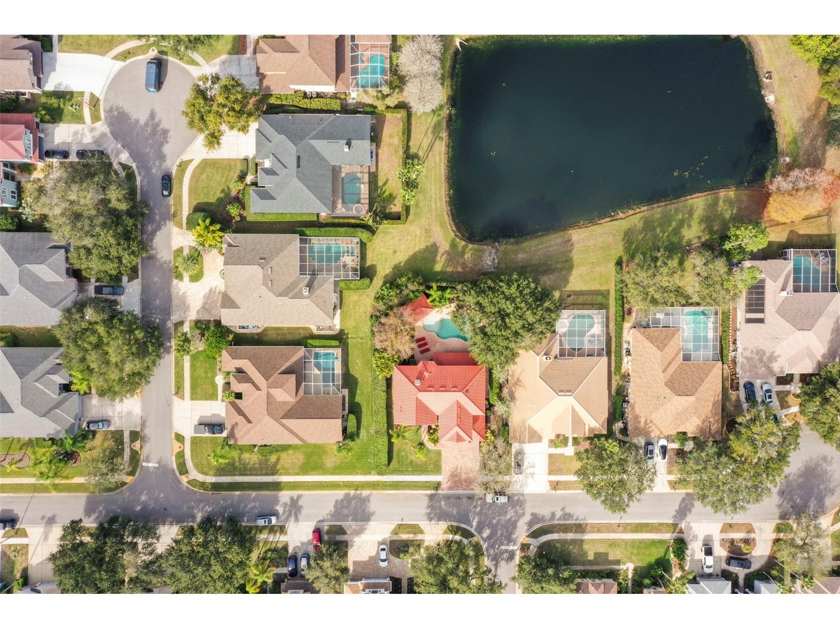 4165 Moreno Drive Palm Harbor FL 34685 TB8460043 image82