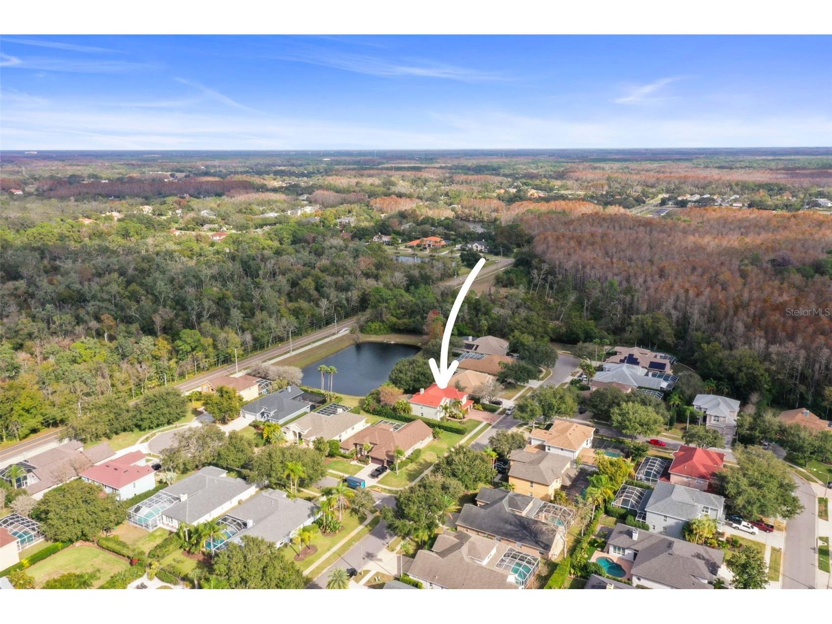 4165 Moreno Drive Palm Harbor FL 34685 TB8460043 image83