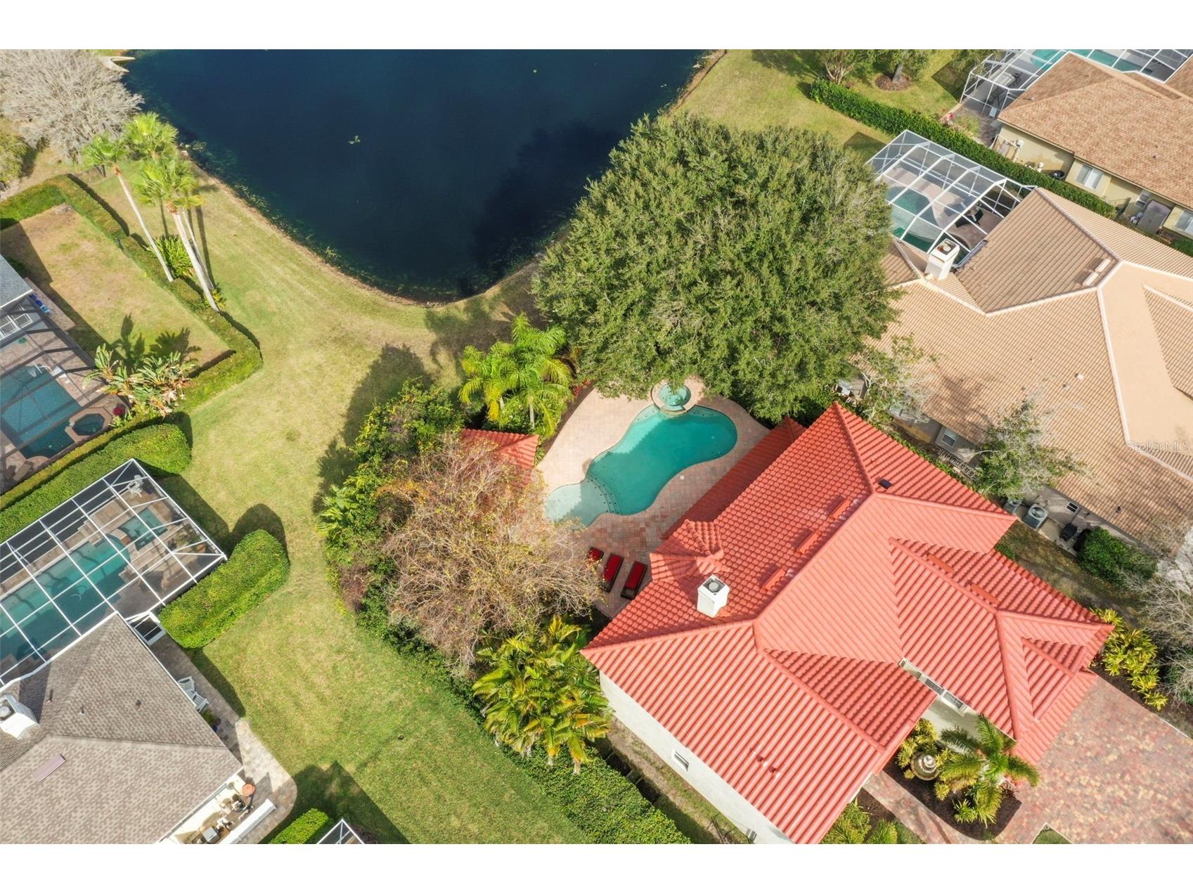 4165 Moreno Drive Palm Harbor FL 34685 TB8460043 image86