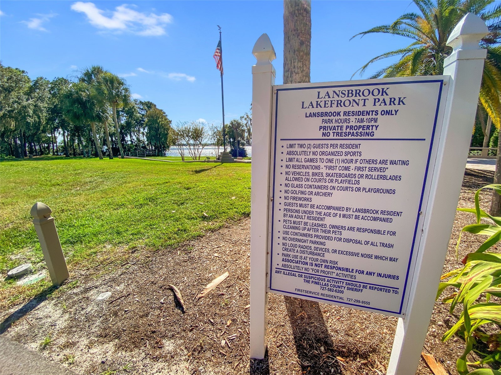 4165 Moreno Drive Palm Harbor FL 34685 TB8460043 image90