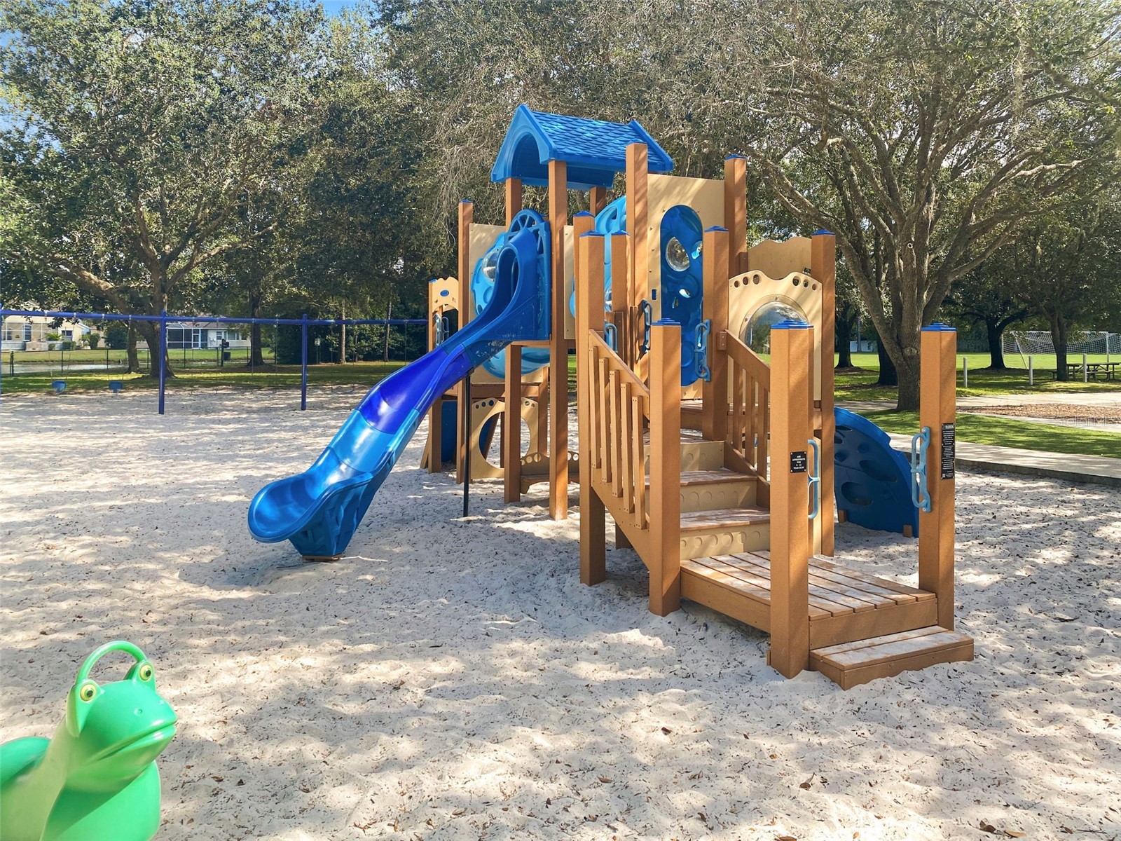 4165 Moreno Drive Palm Harbor FL 34685 TB8460043 image91