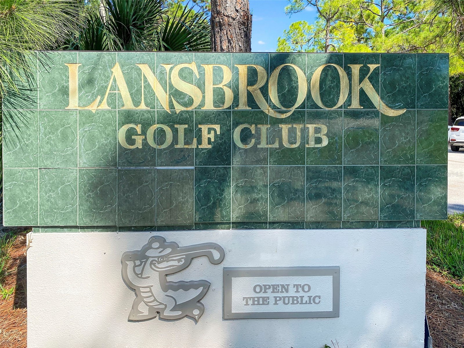 4165 Moreno Drive Palm Harbor FL 34685 TB8460043 image95