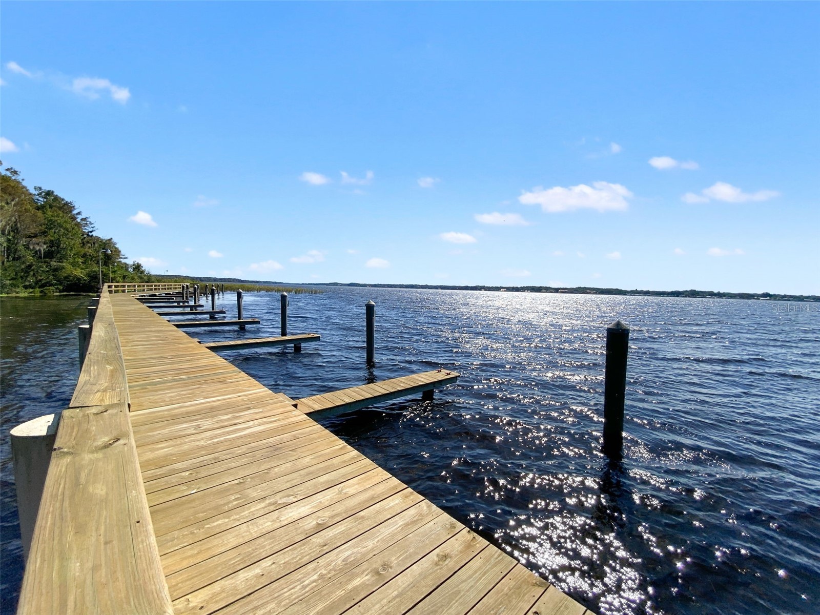 4165 Moreno Drive Palm Harbor FL 34685 TB8460043 image97