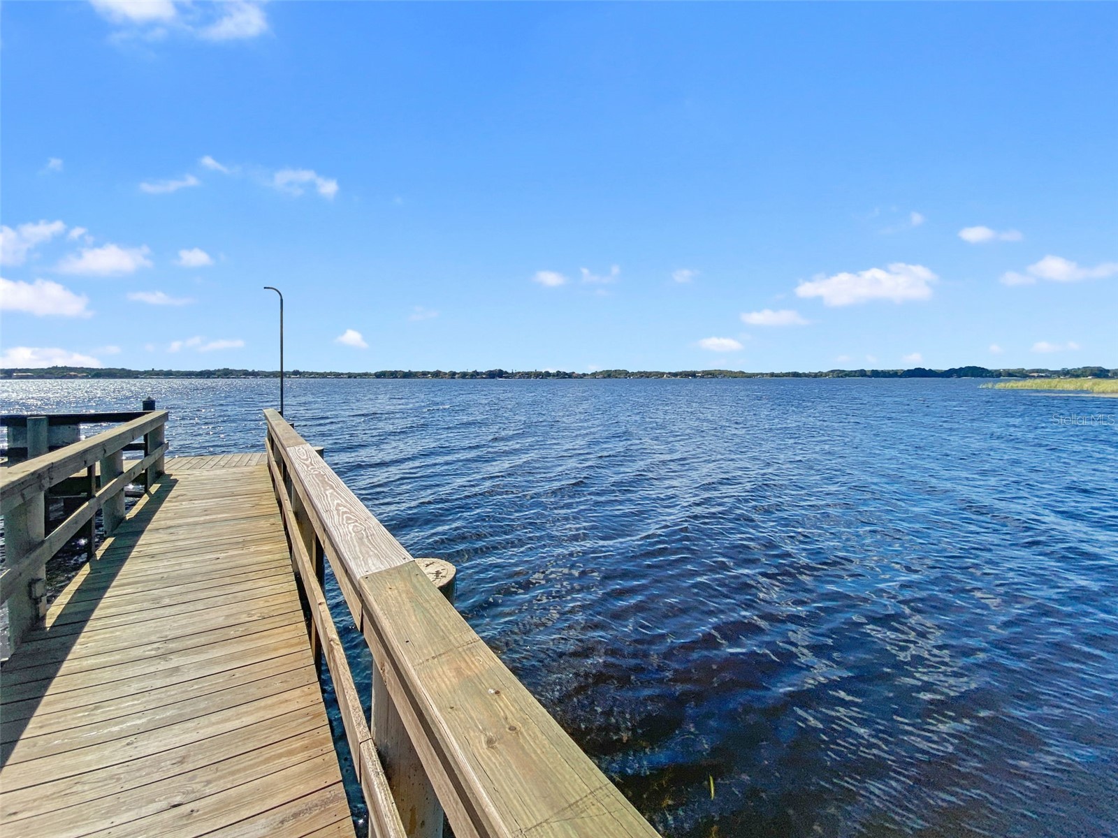 4165 Moreno Drive Palm Harbor FL 34685 TB8460043 image99