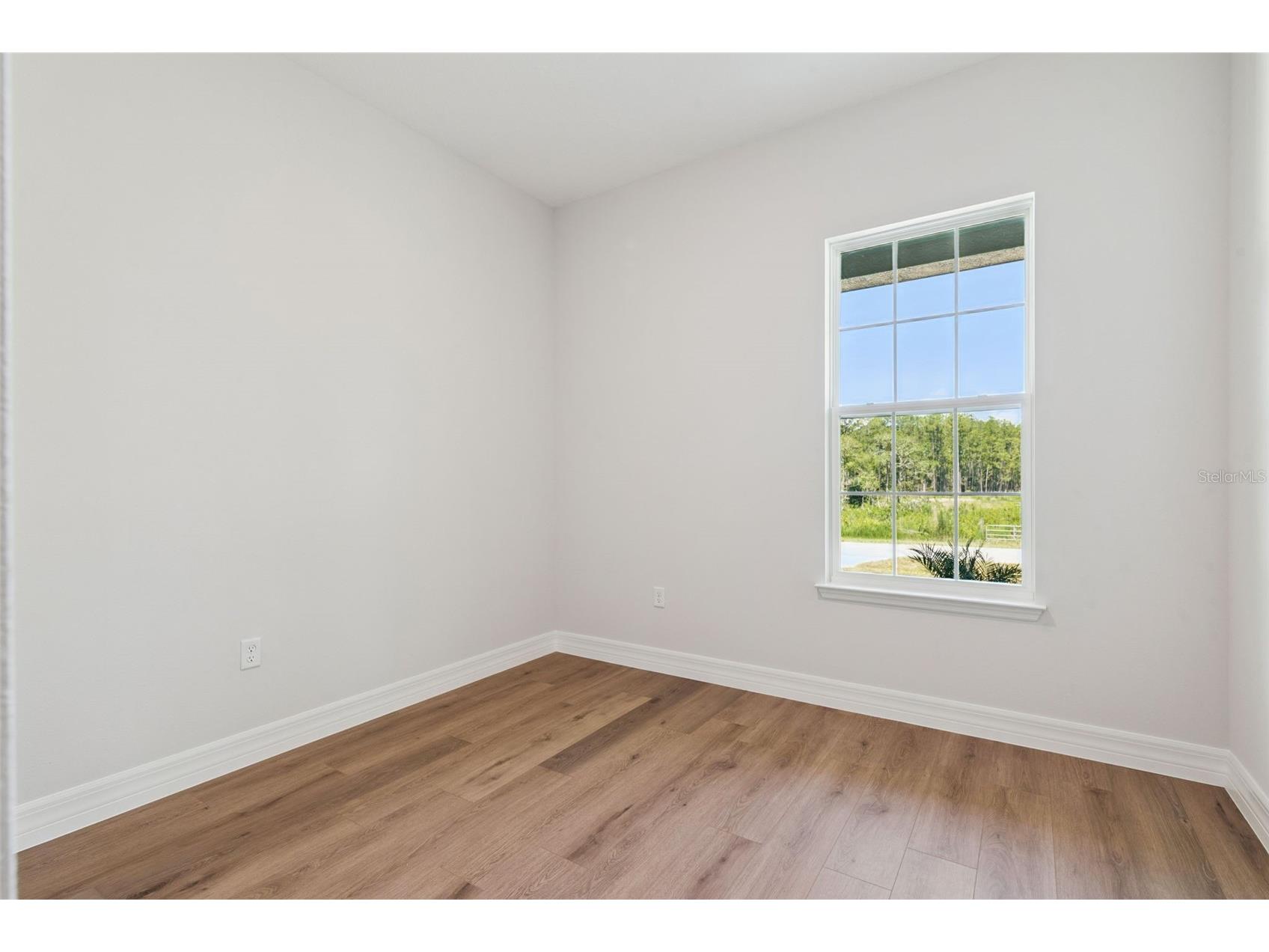 41650 Ligustrum Street Eustis FL 32736 - LAKE NORRIS O6422797 image30