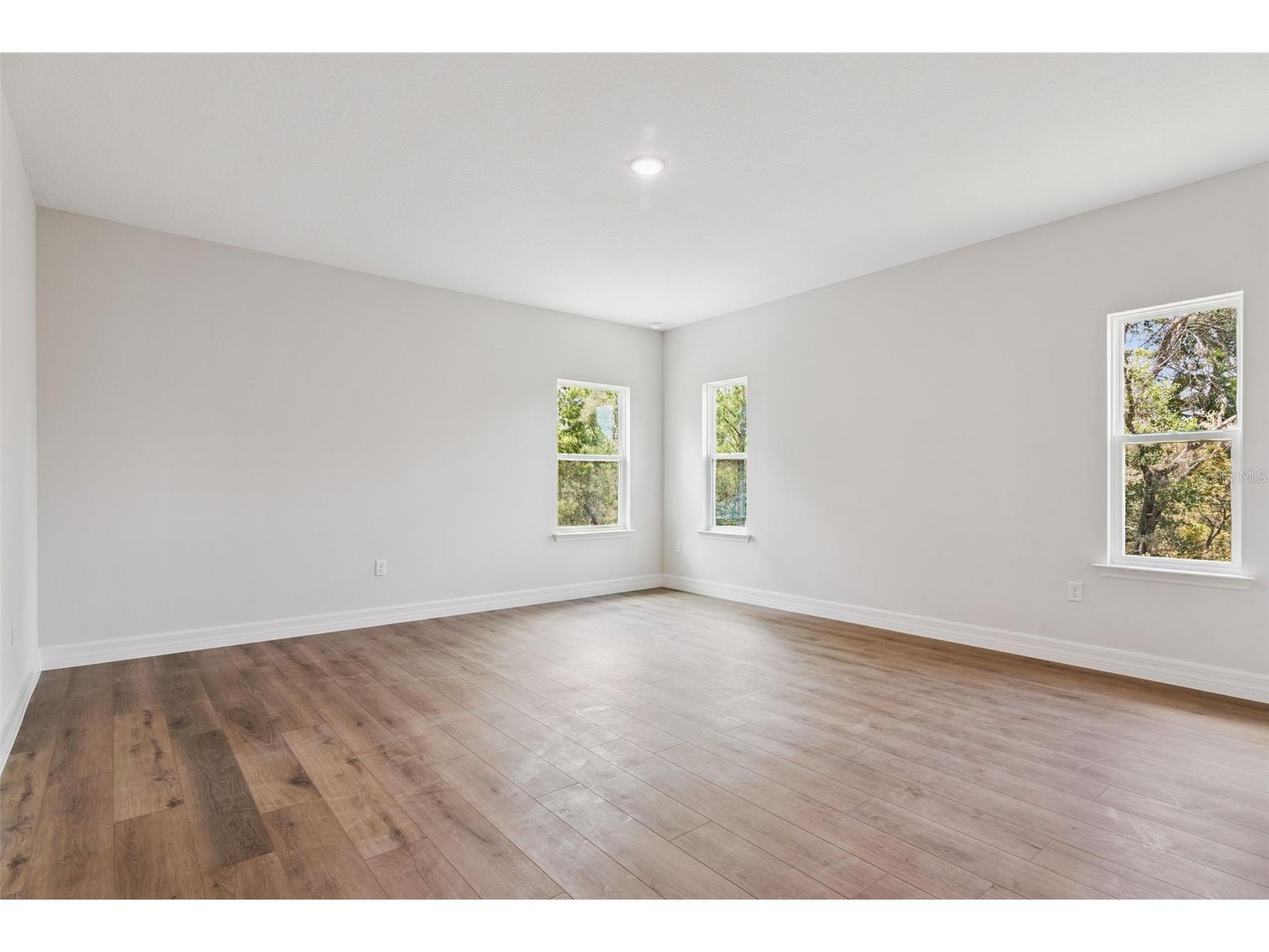41650 Ligustrum Street Eustis FL 32736 - LAKE NORRIS O6422797 image35