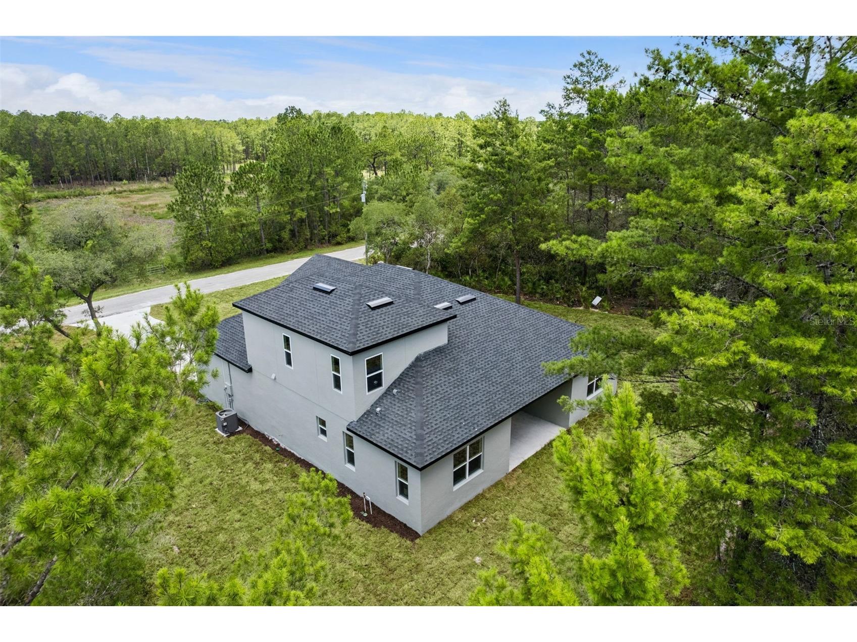 41650 Ligustrum Street Eustis FL 32736 - LAKE NORRIS O6422797 image41