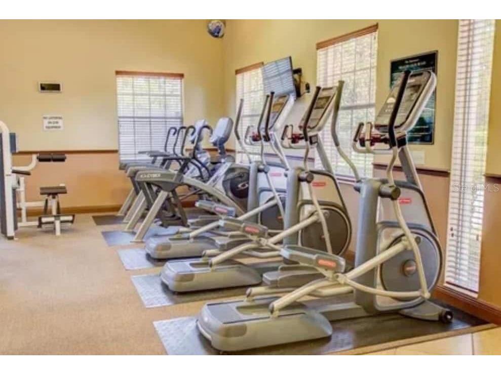 4166 Heirloom Rose Place Oviedo FL 32766 O6365092 image20