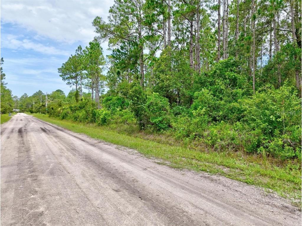 4168 Fruitwood Avenue Bunnell FL 32110 FC311156 image1
