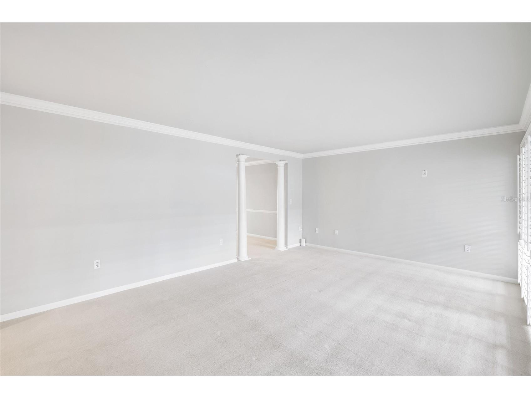 4168 Northmeadow Circle Tampa FL 33618 TB8497879 image11