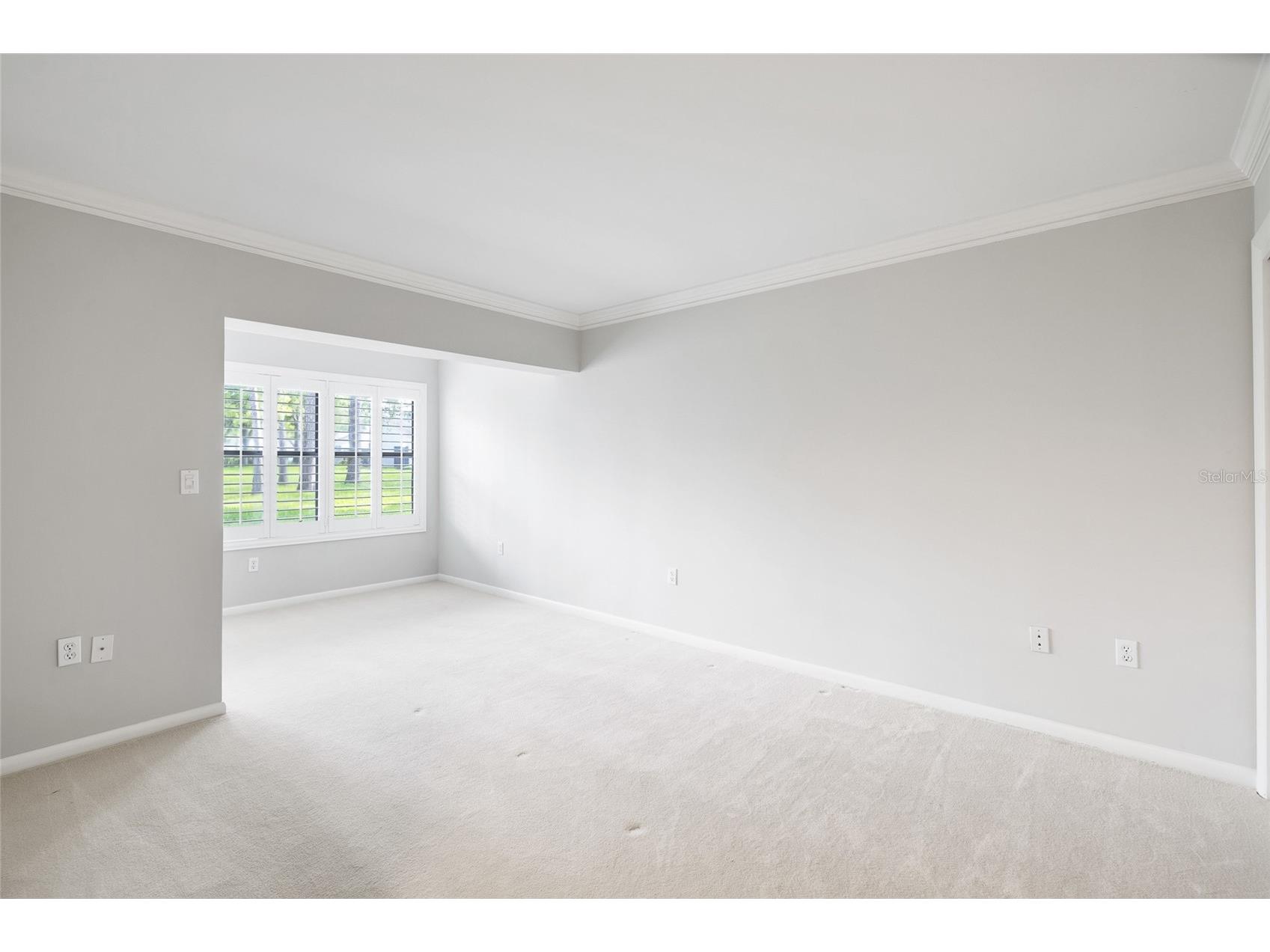 4168 Northmeadow Circle Tampa FL 33618 TB8497879 image23