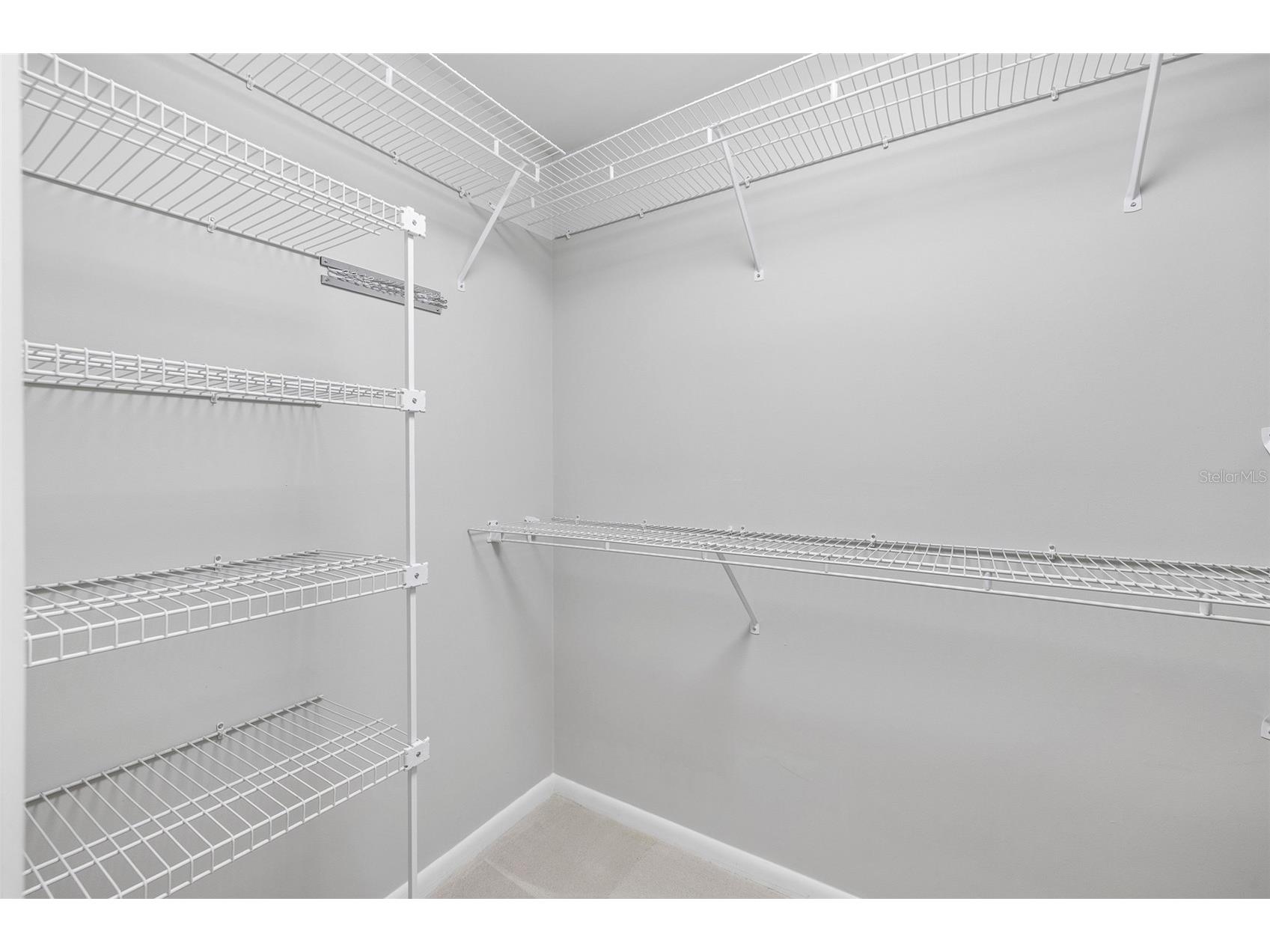 4168 Northmeadow Circle Tampa FL 33618 TB8497879 image27