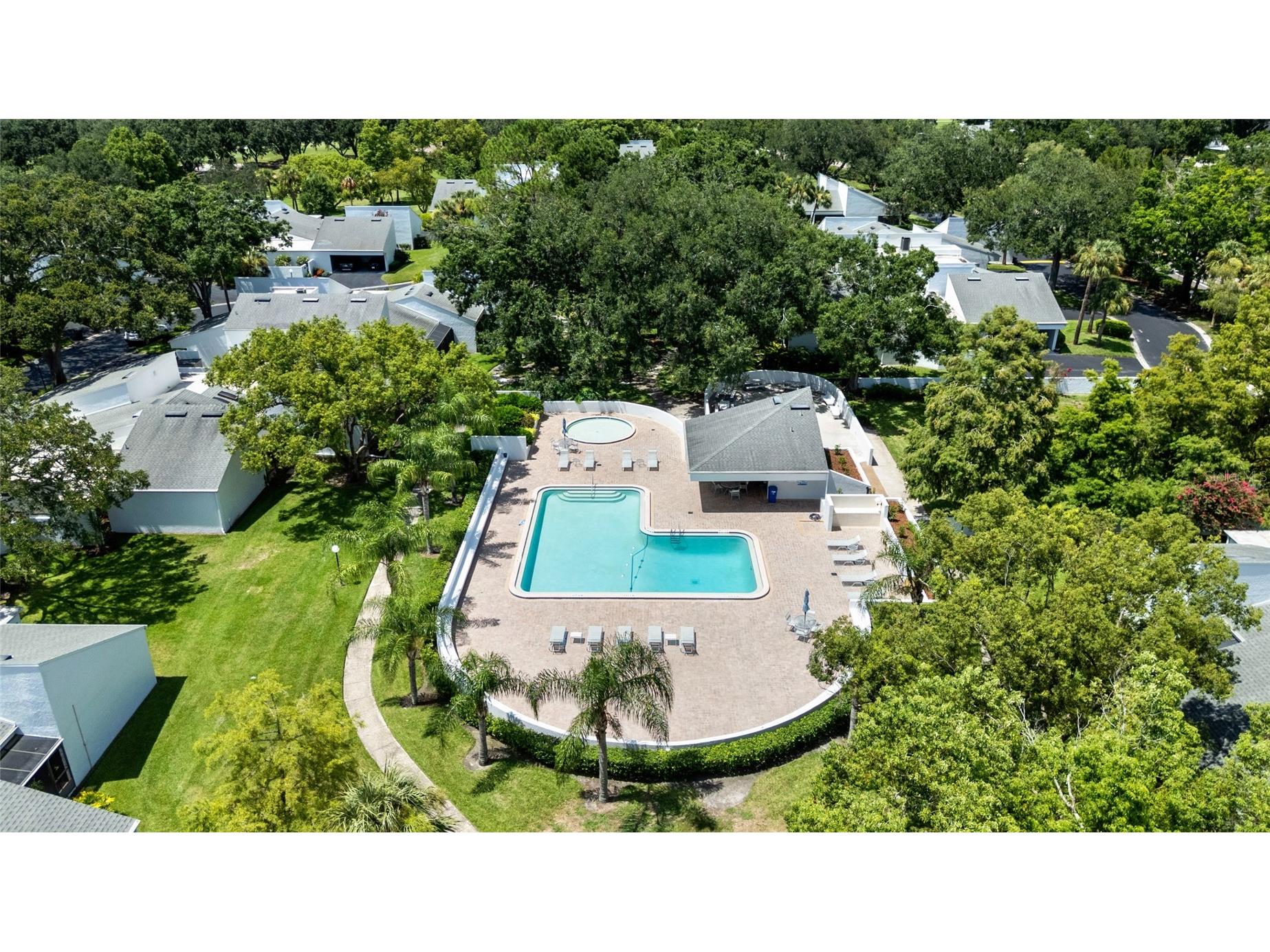 4168 Northmeadow Circle Tampa FL 33618 TB8497879 image3