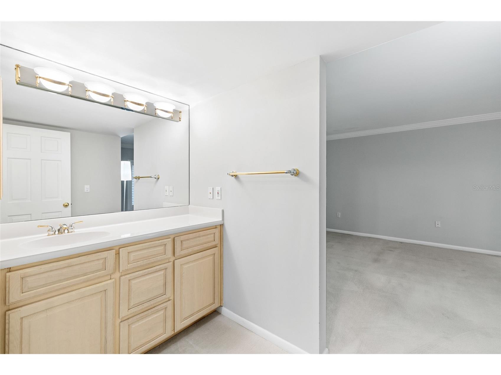 4168 Northmeadow Circle Tampa FL 33618 TB8497879 image30