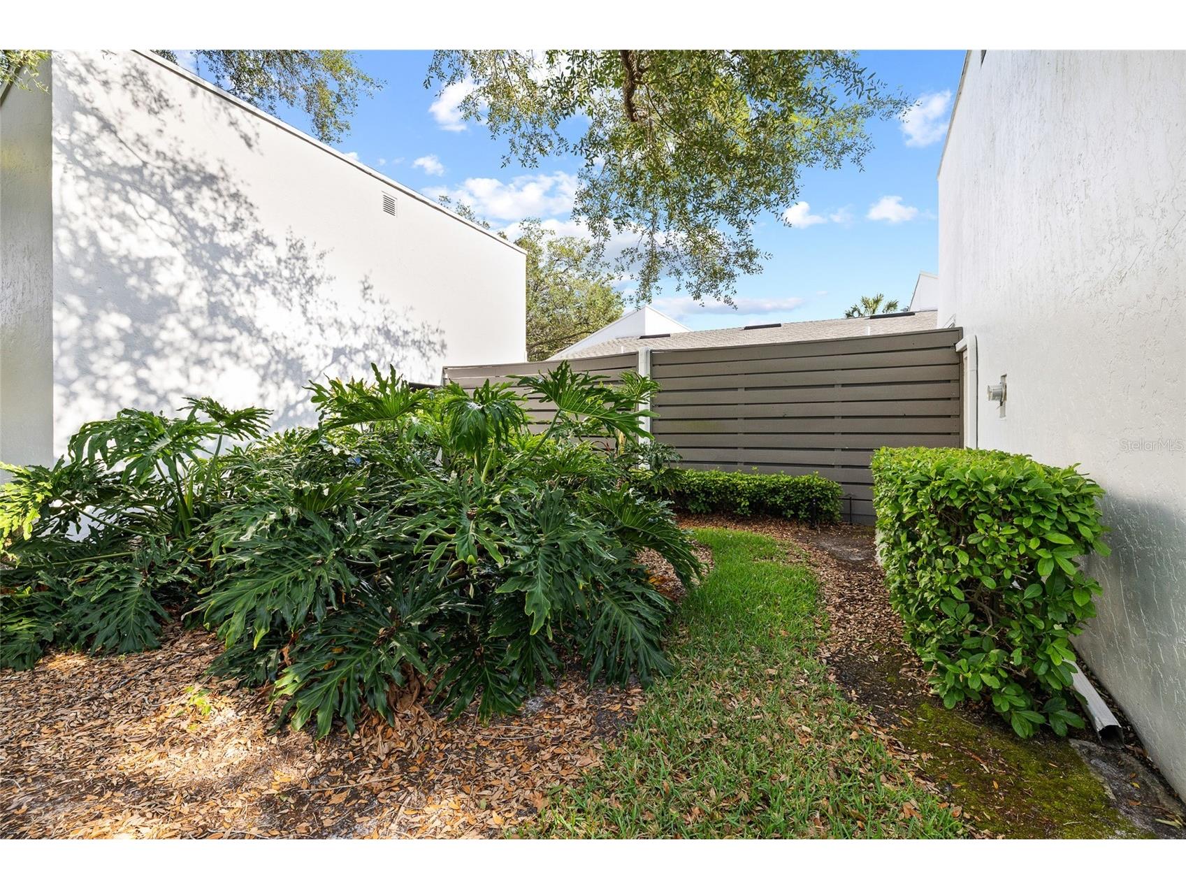 4168 Northmeadow Circle Tampa FL 33618 TB8497879 image38