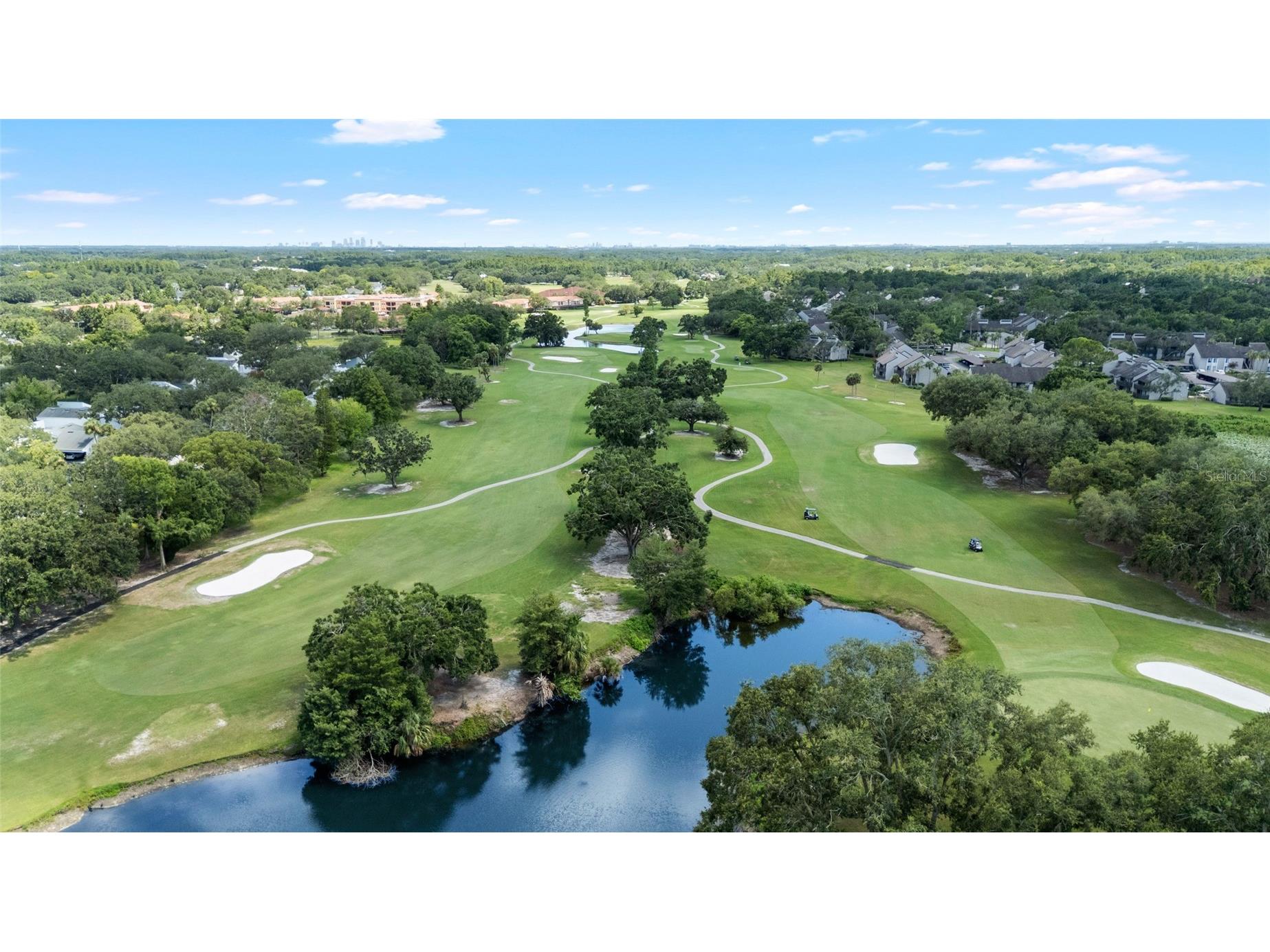 4168 Northmeadow Circle Tampa FL 33618 TB8497879 image41