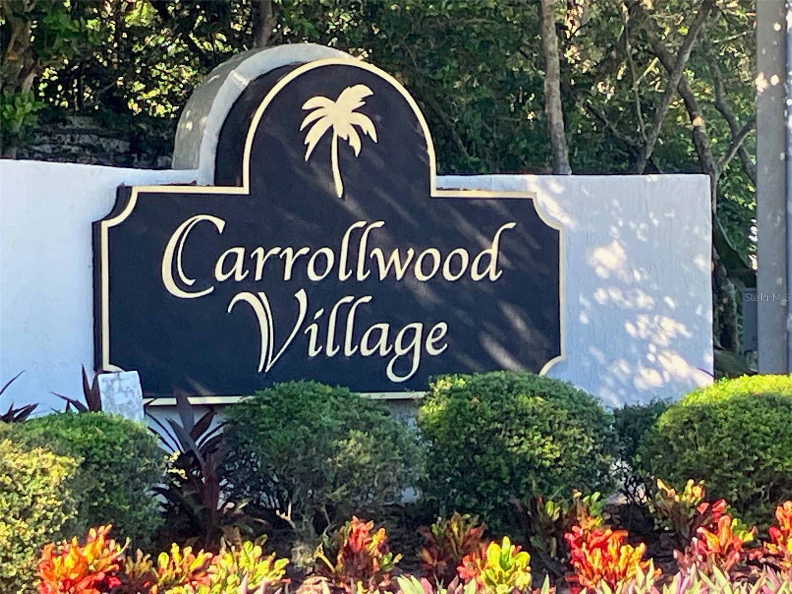 4168 Northmeadow Circle Tampa FL 33618 TB8497879 image42