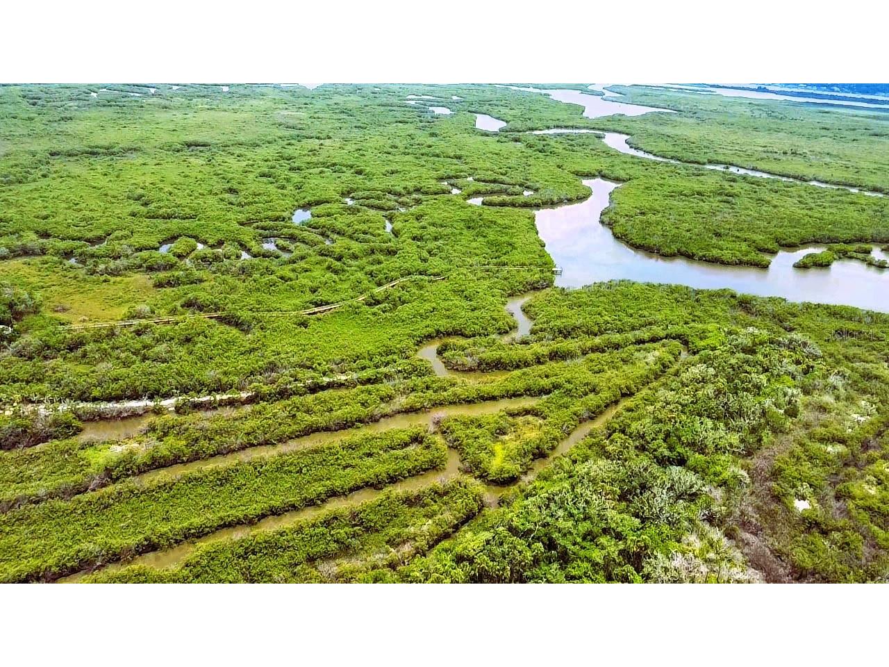 4168 Saxon Drive New Smyrna Beach FL 32169 - BROWNS BAY LAGOON PRESERVE NS1088387 image10