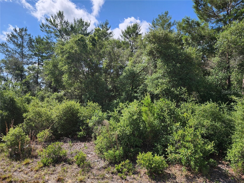 4168 SW 112th Lane Ocala FL 34476 OM710626 image1