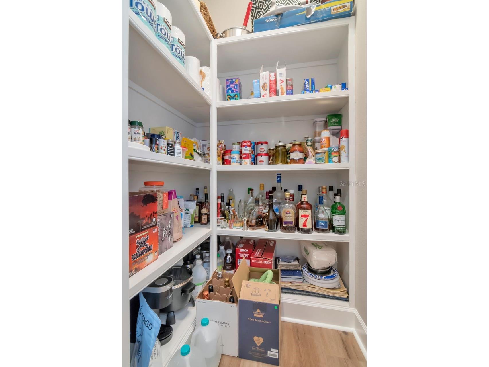 4169 Barletta Court Wesley Chapel FL 33543 TB8494492 image13