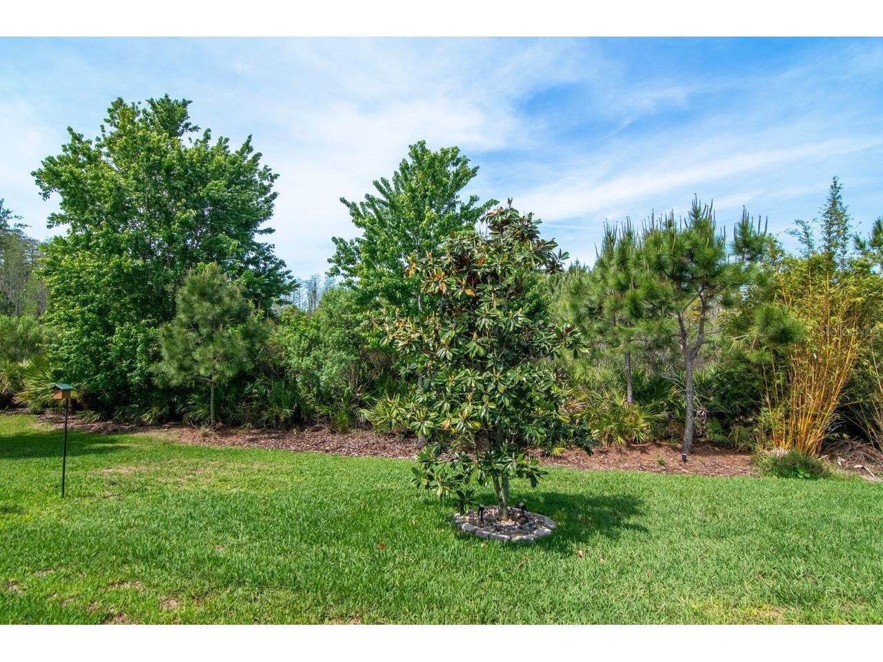 4169 Barletta Court Wesley Chapel FL 33543 TB8494492 image32
