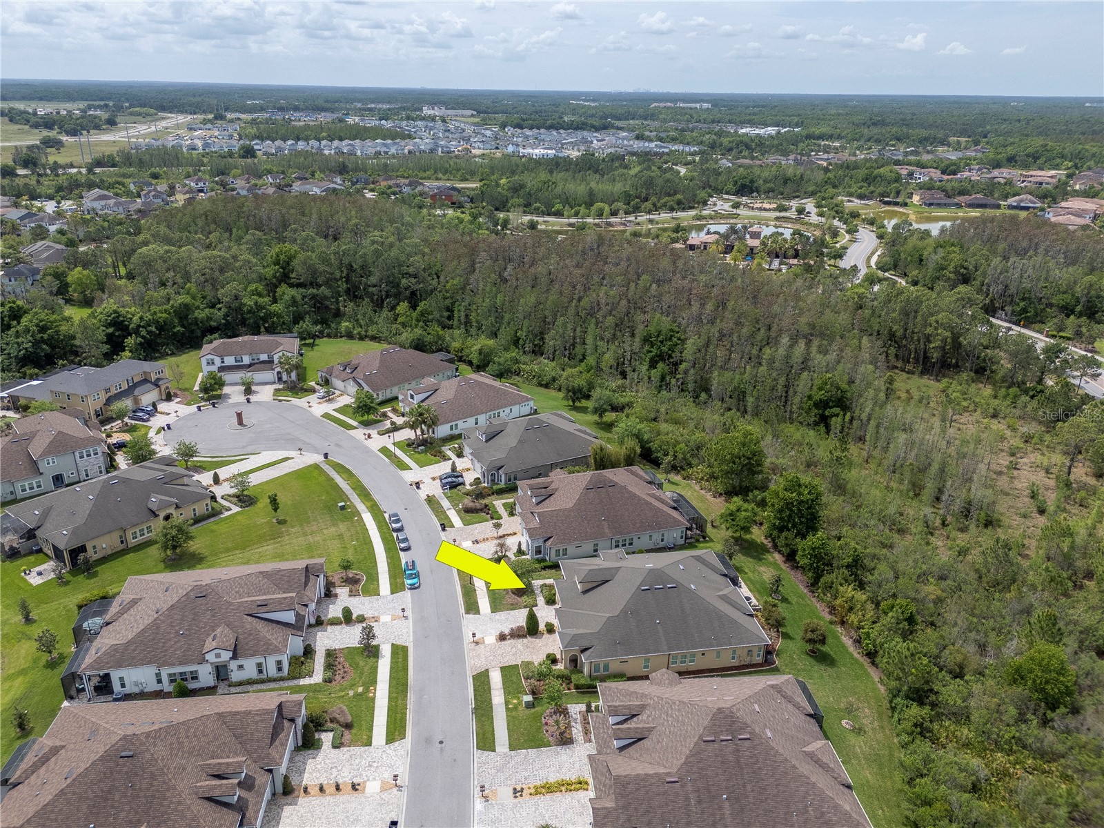 4169 Barletta Court Wesley Chapel FL 33543 TB8494492 image35