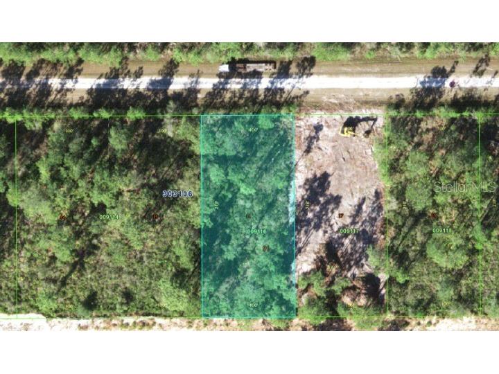 417 Azalea Drive Indian Lake Estates FL 33855 O6295298 image5