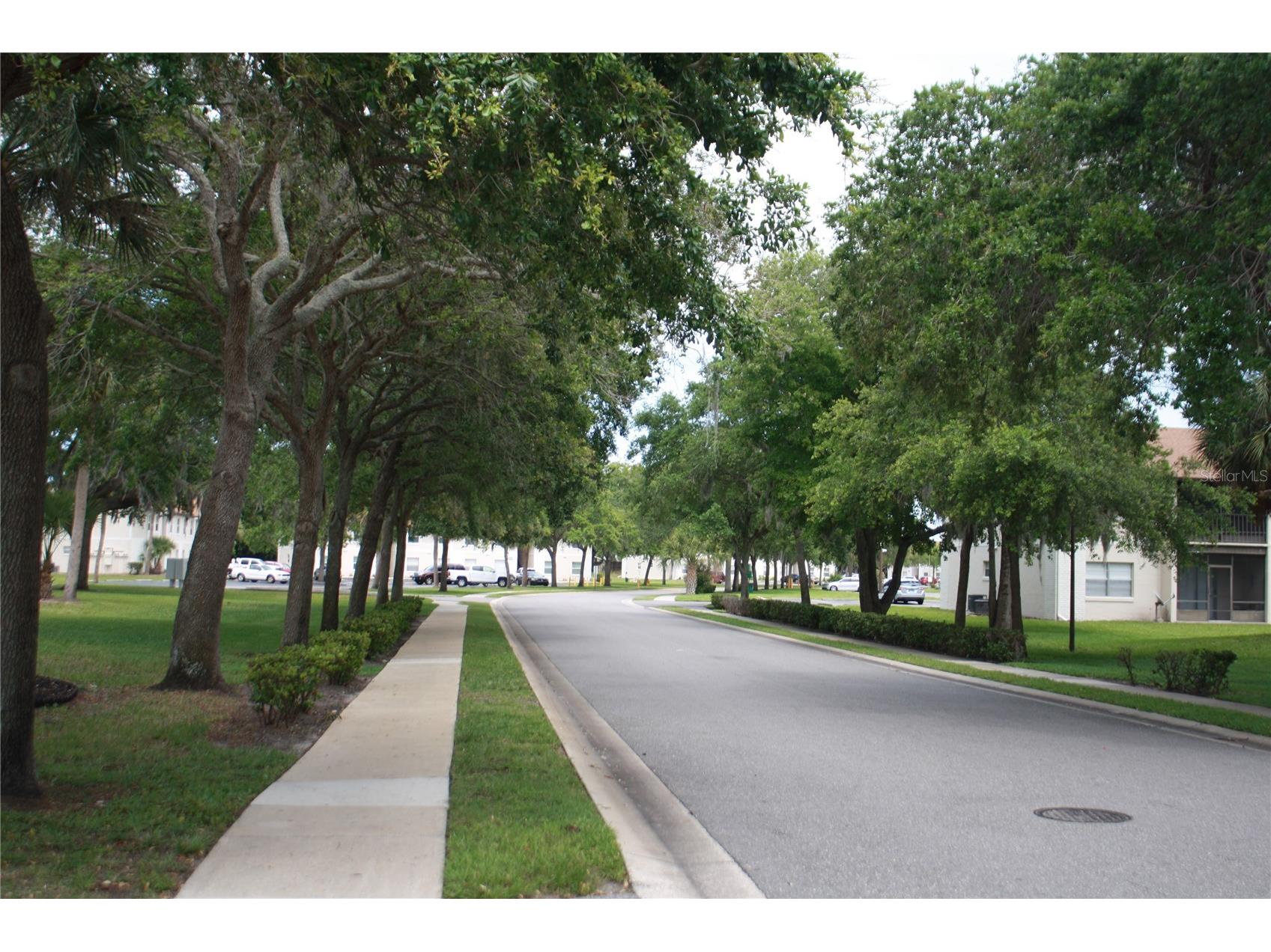 417 Banana Cay Drive #J South Daytona FL 32119 NS1087632 image25