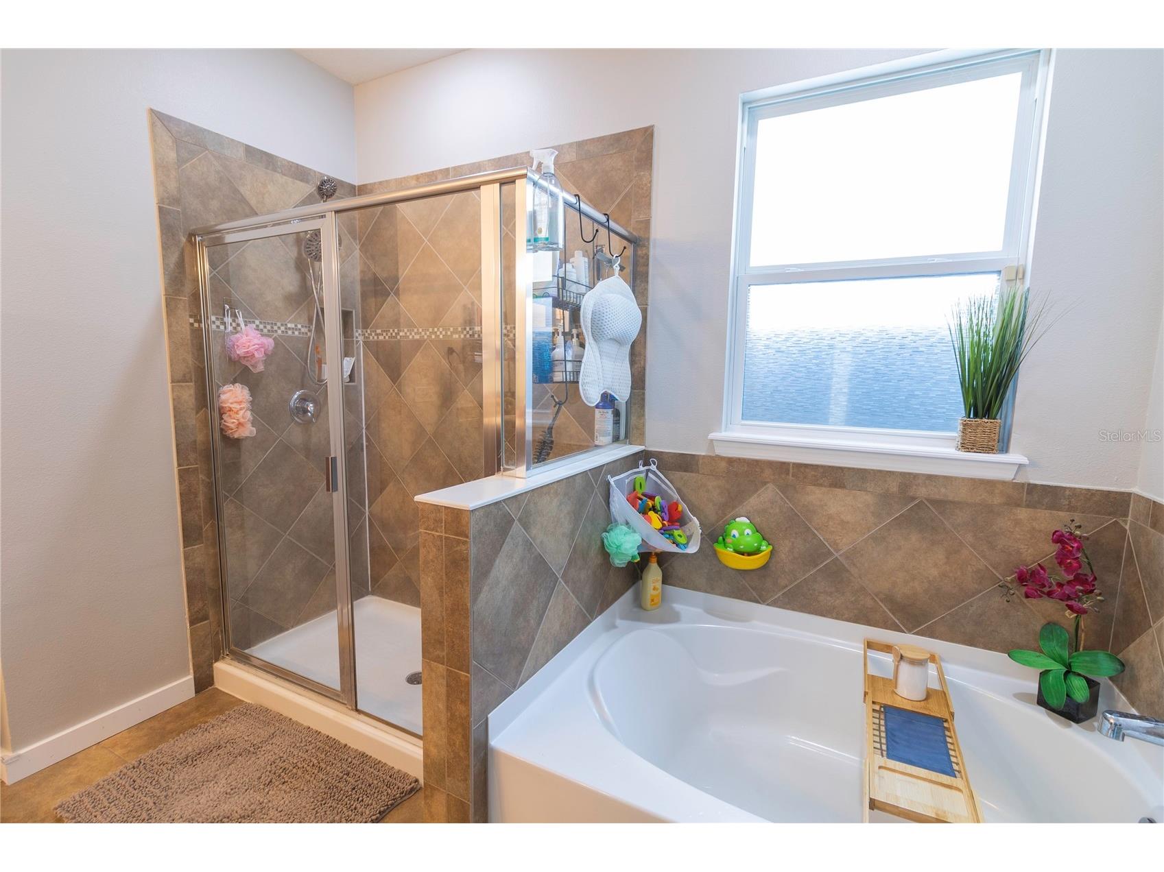 417 Blakely Court Ruskin FL 33570 TB8529766 image21