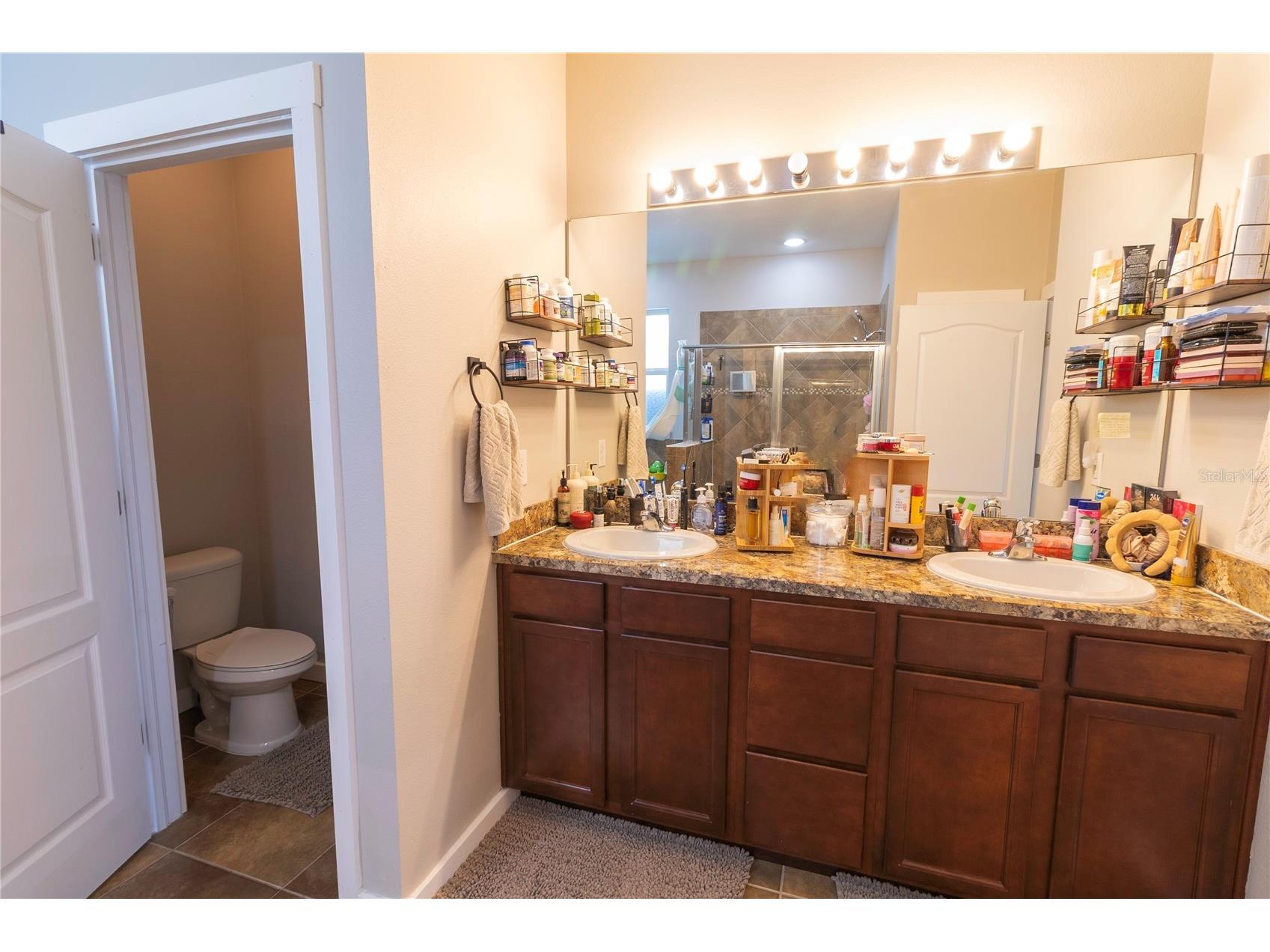 417 Blakely Court Ruskin FL 33570 TB8529766 image22